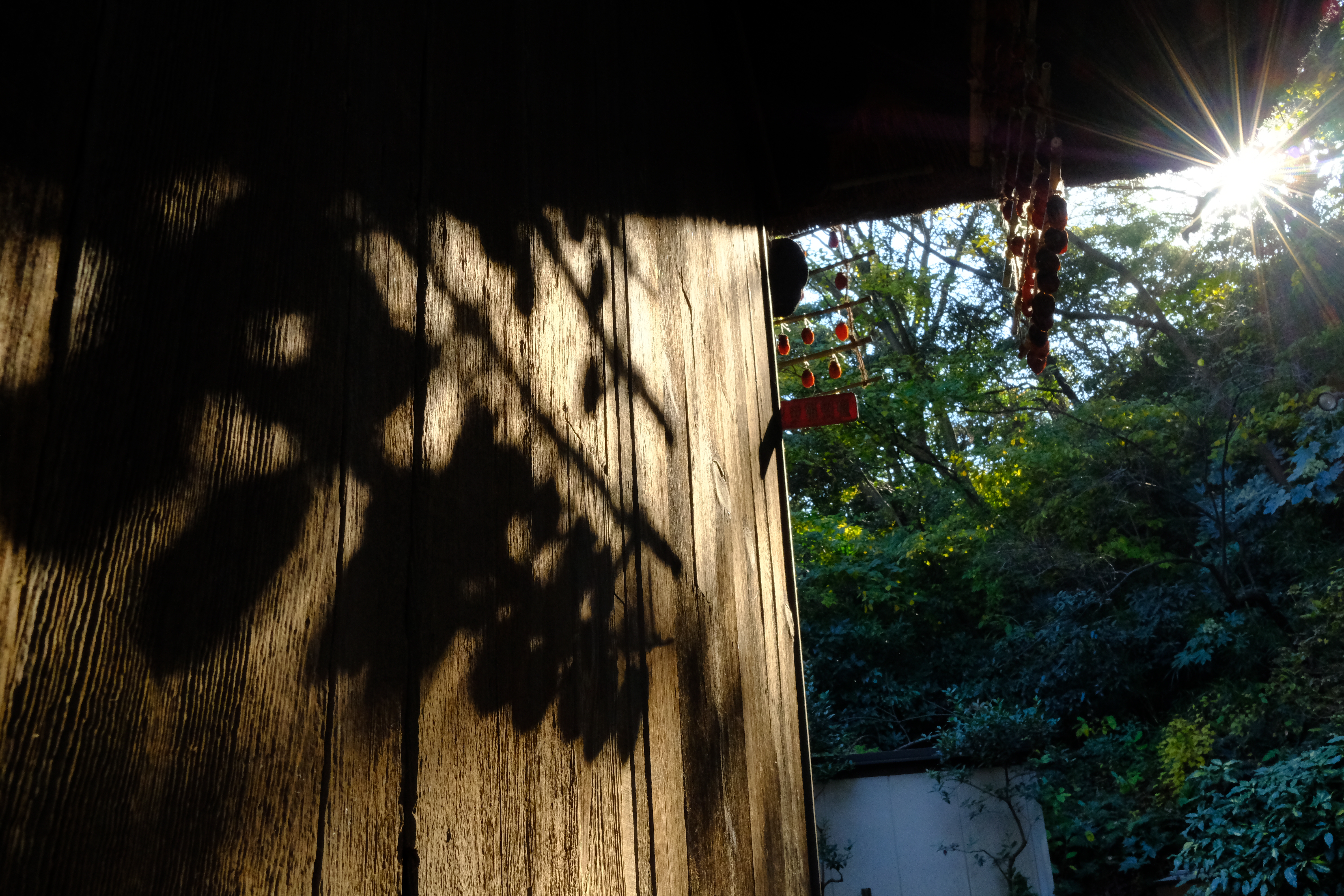 X-Pro2 / 1/125秒 / F16 / -1EV / ISO2500 / 絞り優先AE / 23mm