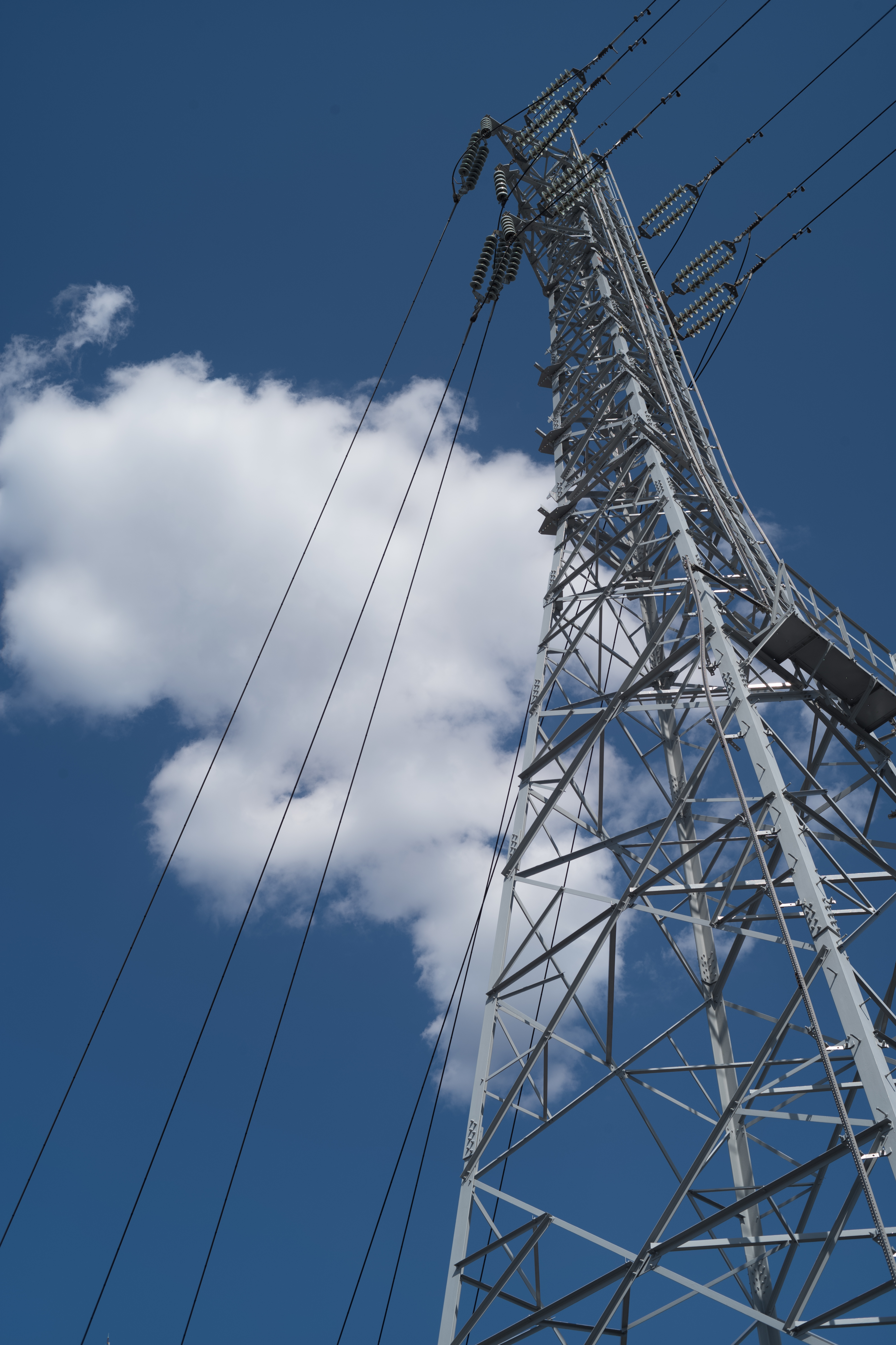 Leica M10 / Hexanon AR 40mm F1.8 / 1/500秒 / F8 / +0.33EV / ISO100 / AWB