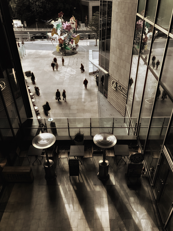 iPhone 7 Plus / F1.8 / 1/125秒 / ISO 20 / 3.99mm（28mm相当）