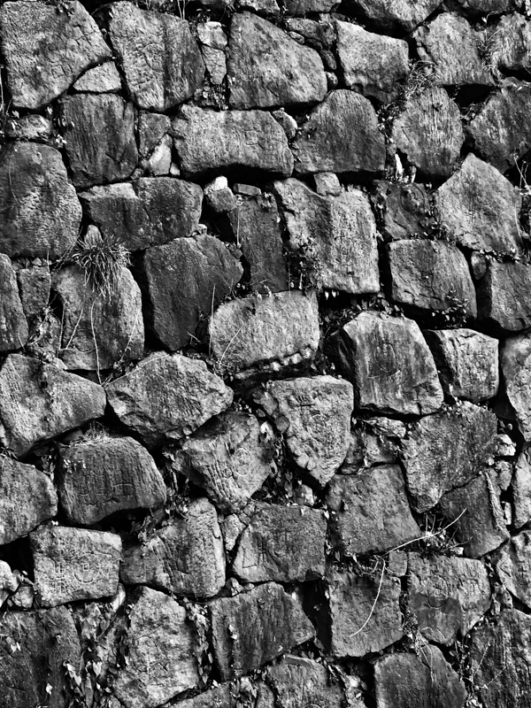 iPhone 7 Plus / F2.8 / 1/120秒 / ISO 32 / 6.6mm（88mm相当）※デジタルズーム使用