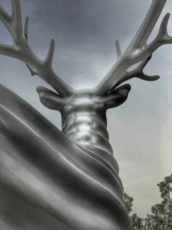 iPhone 7 Plus / F2.8 / 1/1,000秒 / ISO 20 / 6.6mm（57mm相当）