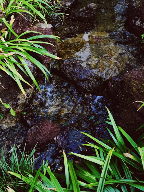 iPhone 7 Plus / F1.8 / 1/100秒 / ISO 20 / 3.99mm（42mm相当）※デジタルズーム使用