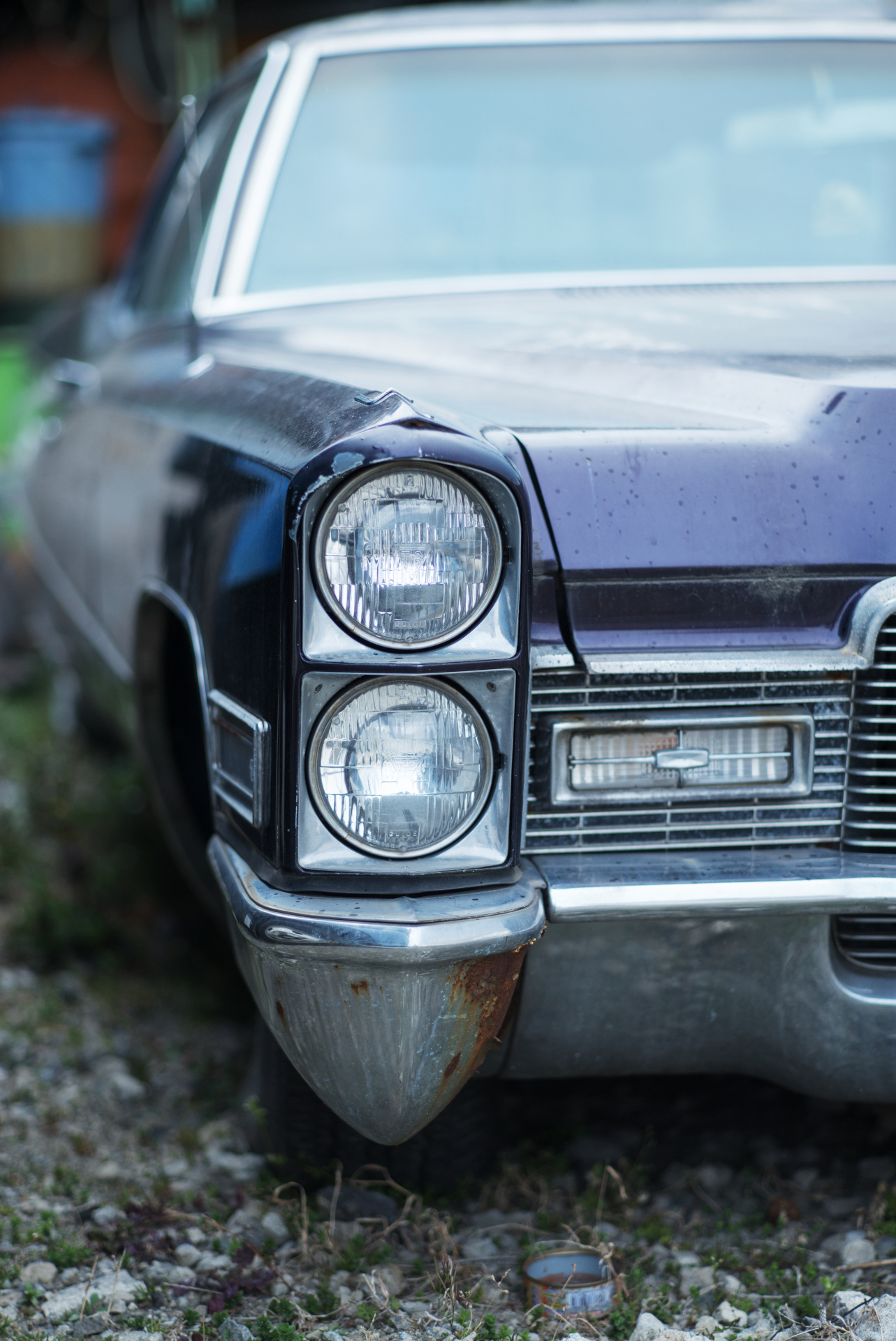 M型＋望遠レンズ＋ライブビューで撮影する場合、全行程をライブビューで行うのではなく、レンジファインダーで軽くピントを追い込んでからピーキング機能を使うと迅速だ。LEICA M（Typ240） / ISO400 / F2 / 1/1,500秒 / WB:3900K