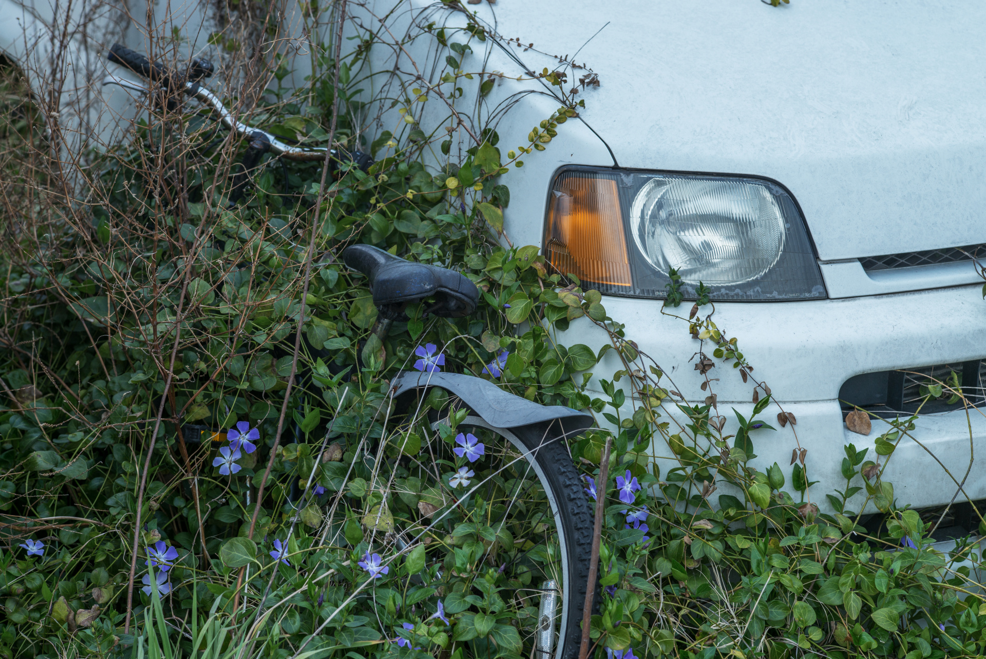 F8で撮影。曇り日の撮影だが、コントラストは十分に高く、メリハリのある描写を得られた。LEICA M（Typ240） / ISO400 / F8 / 1/500秒 / WB:3900K