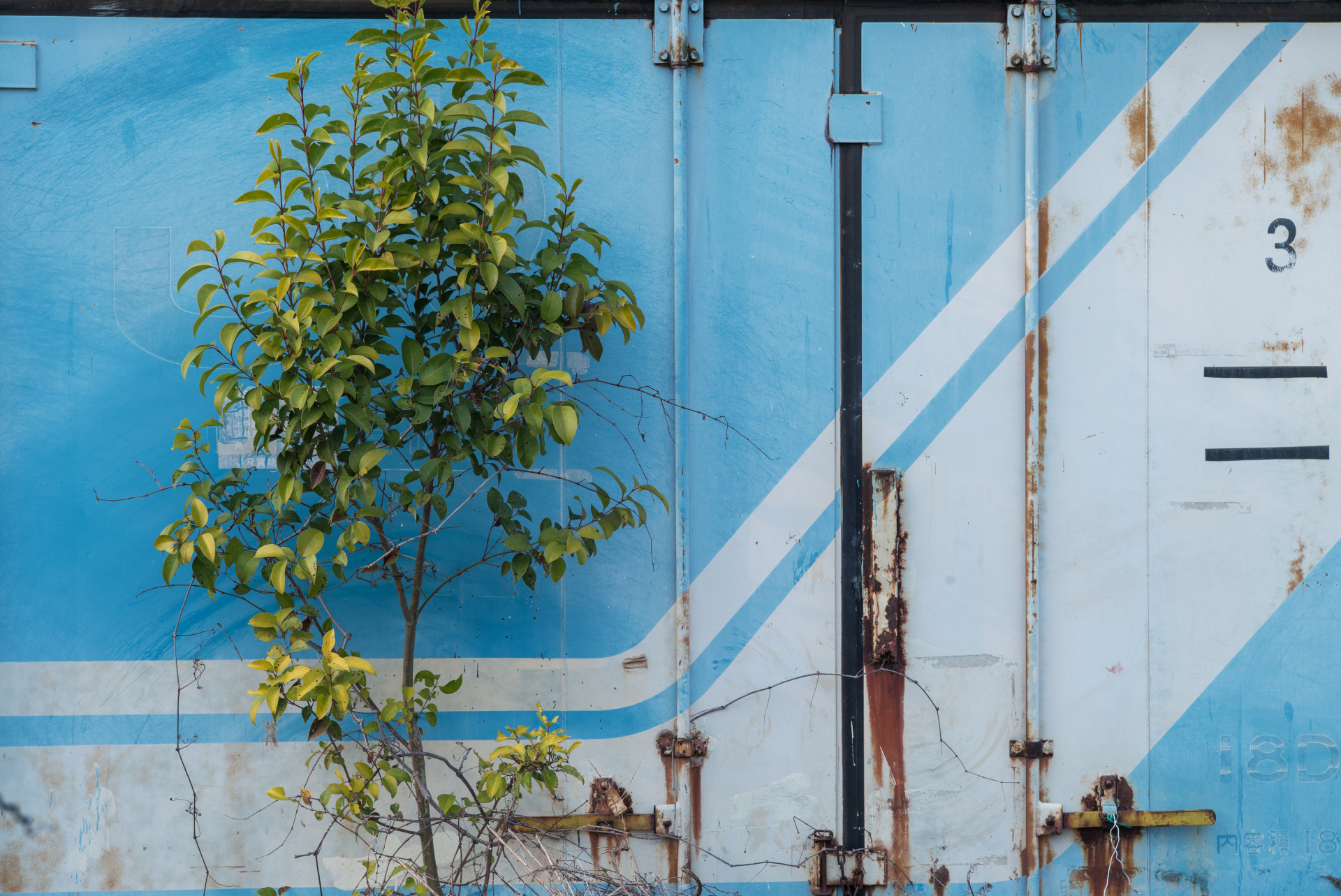 複写に使うような性格のレンズではないが、平面性は高く中央と周辺の画質差は最小限。LEICA M（Typ240） / ISO400 / F5.6 / 1/350秒 / WB:4500K