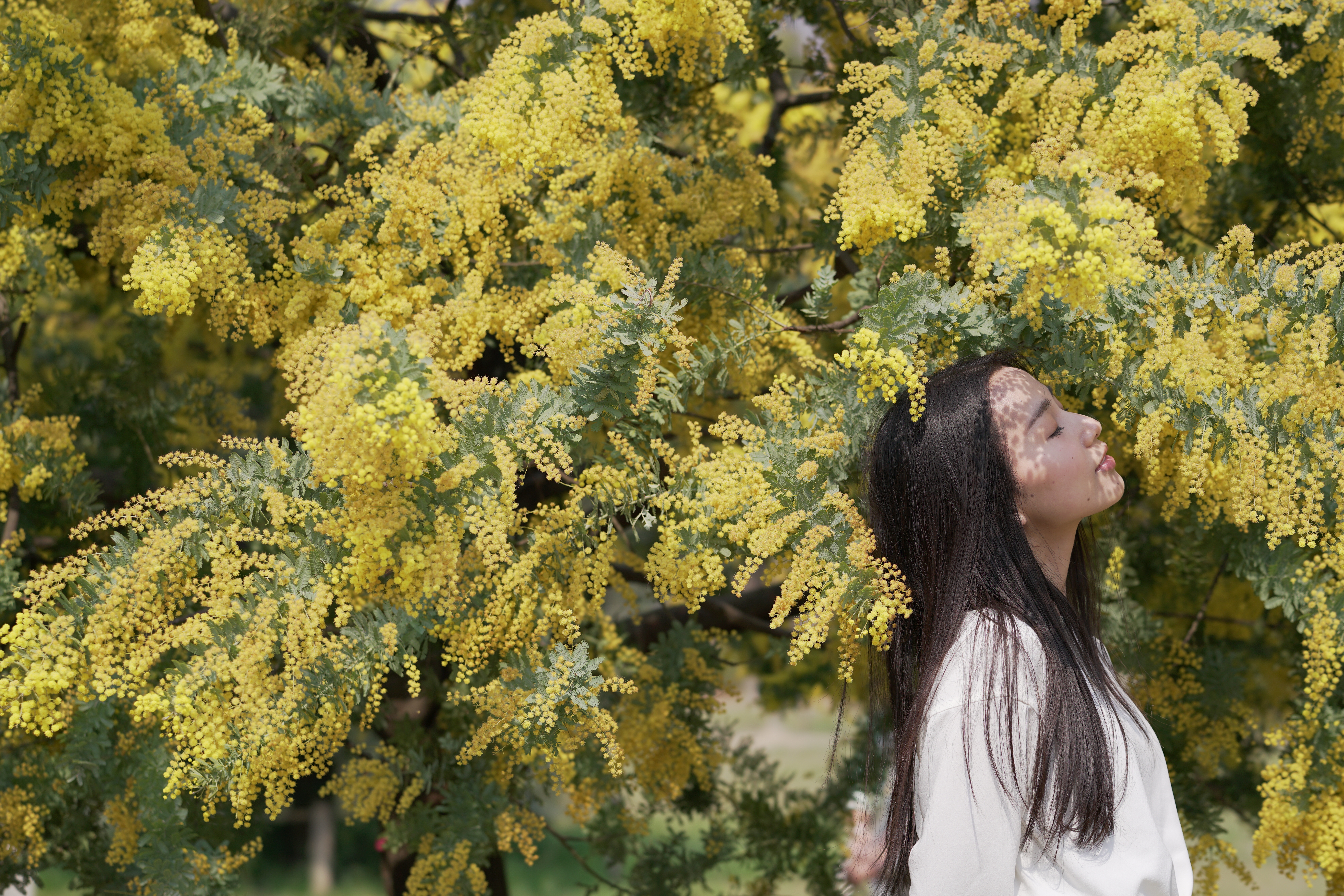 α7R II / 1/800秒 / T5.6 / 0EV / ISO200 / マニュアル露出 / 100mm