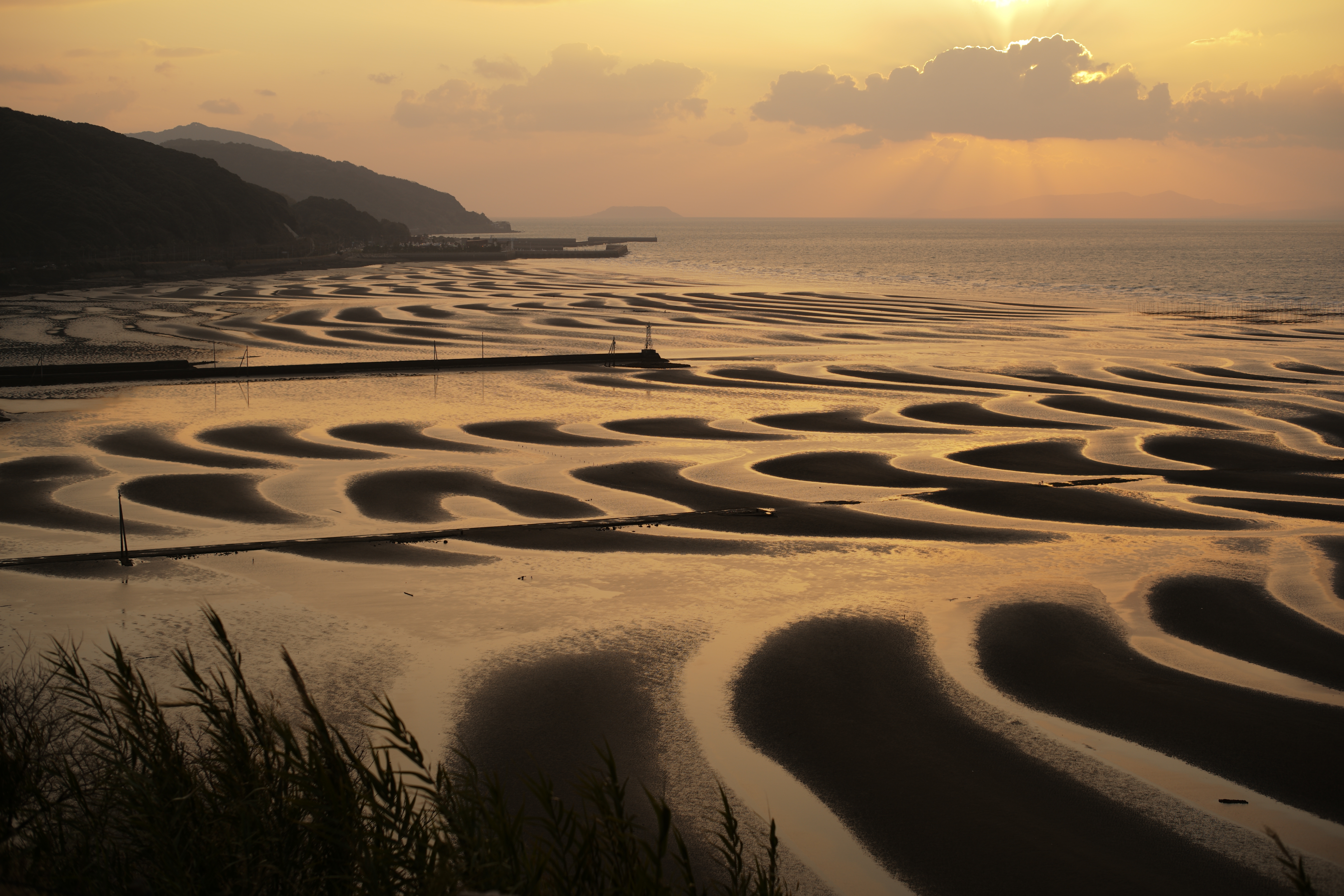 SUMMILUX-M F1.4/50mm ASPH. / F5.6 / 1/750秒 / -0.3EV / ISO100