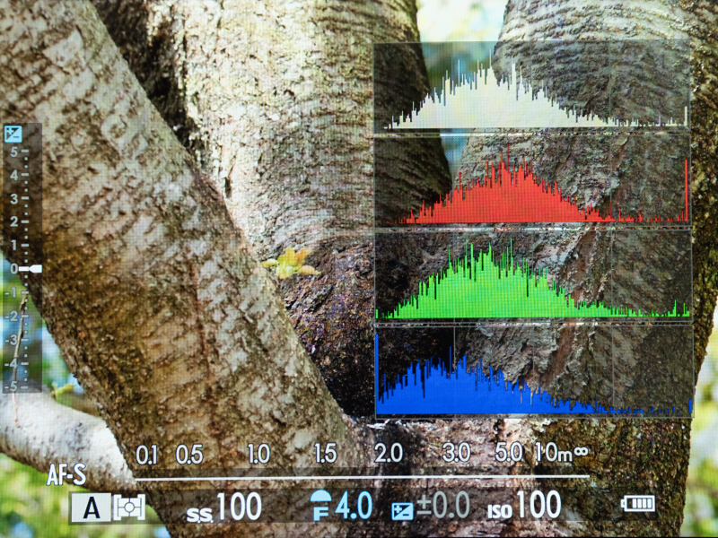撮影中、上フリック