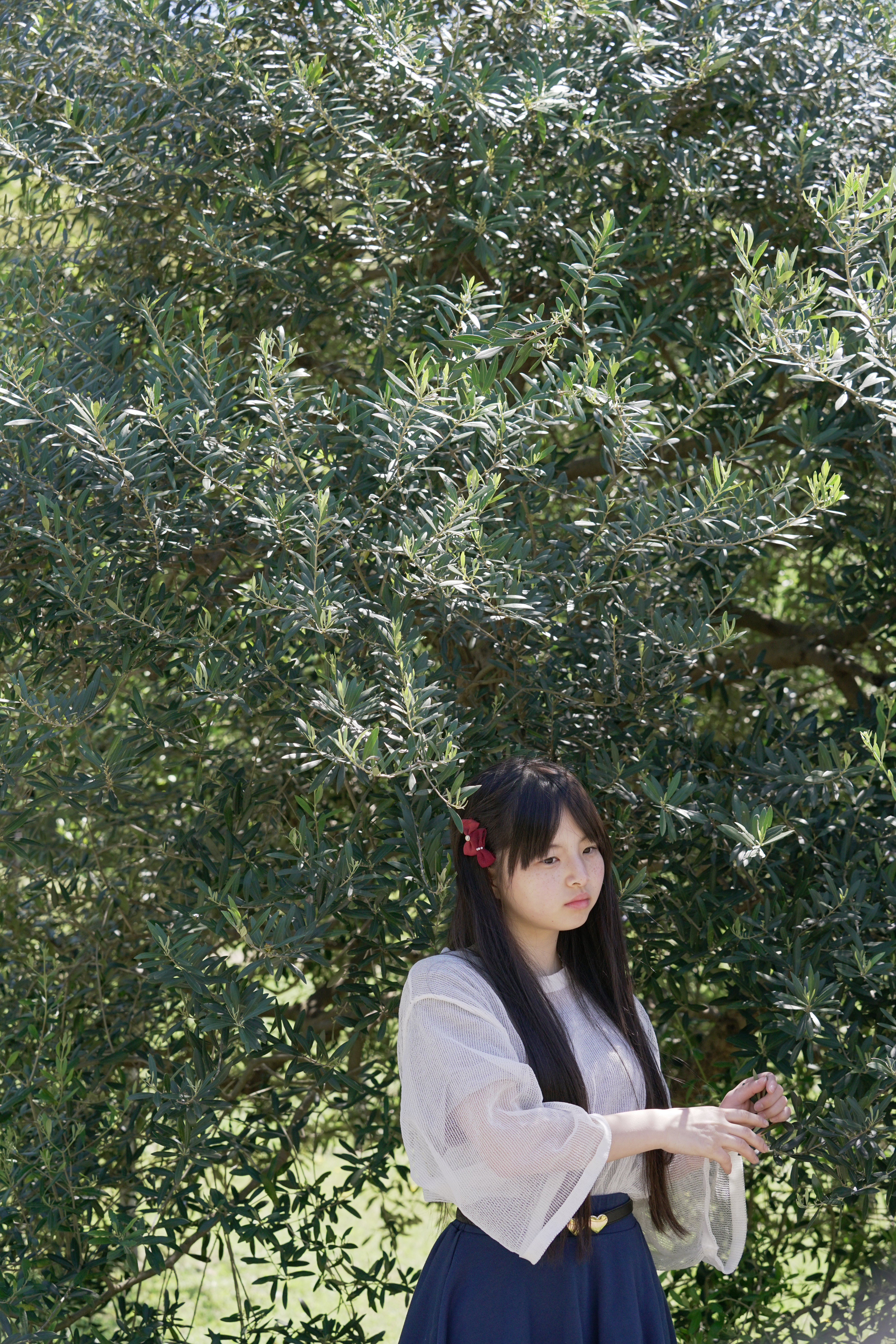 α7R II / 1/800秒 / F5.6 / 0EV / ISO640 / マニュアル露出 / 70mm