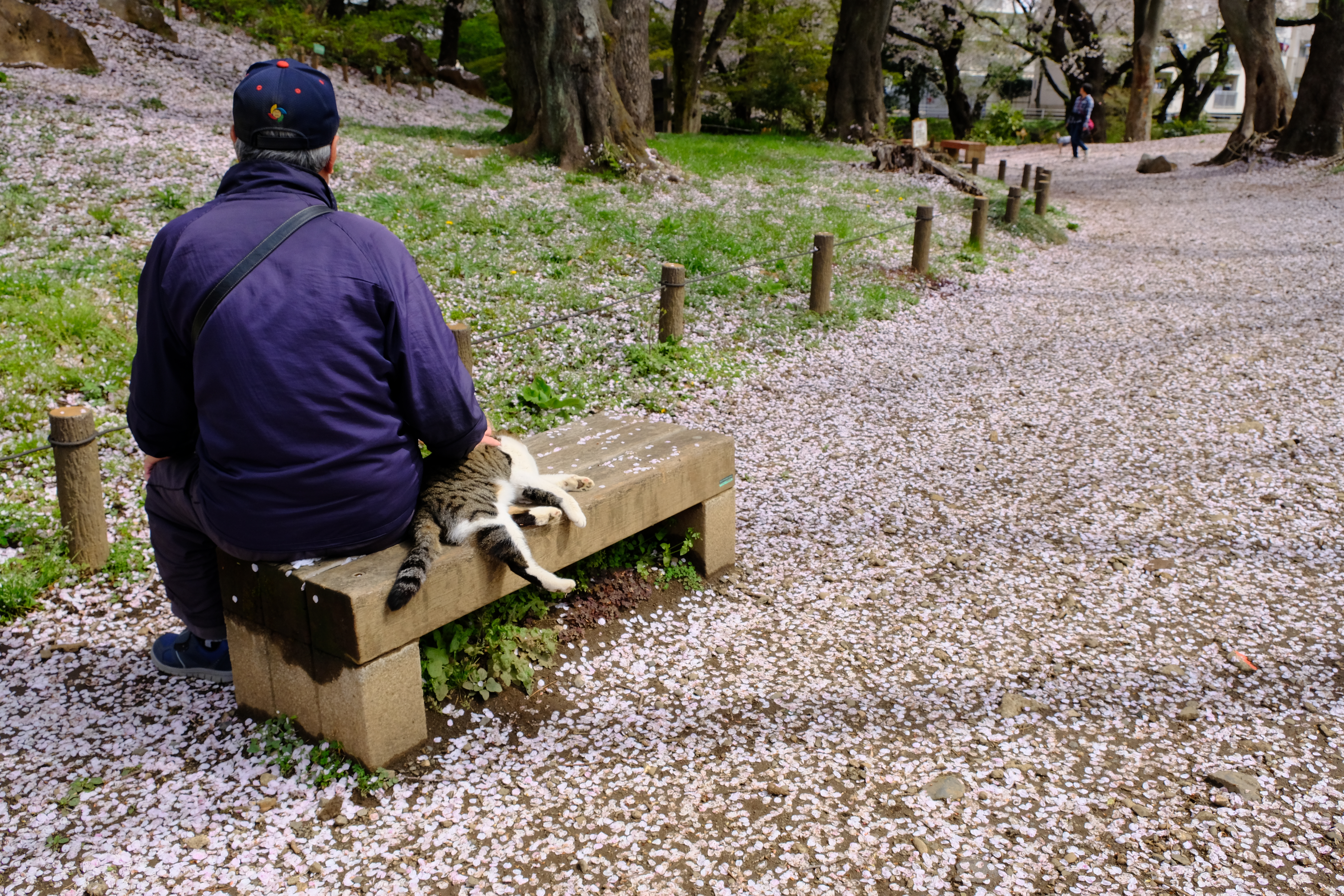 XF18-55mm F2.8-4 R LM OIS / 1/600秒 / F8 / +0.3EV / ISO800 / 絞り優先AE / 20.5mm / フィルムシミュレーション：Velvia