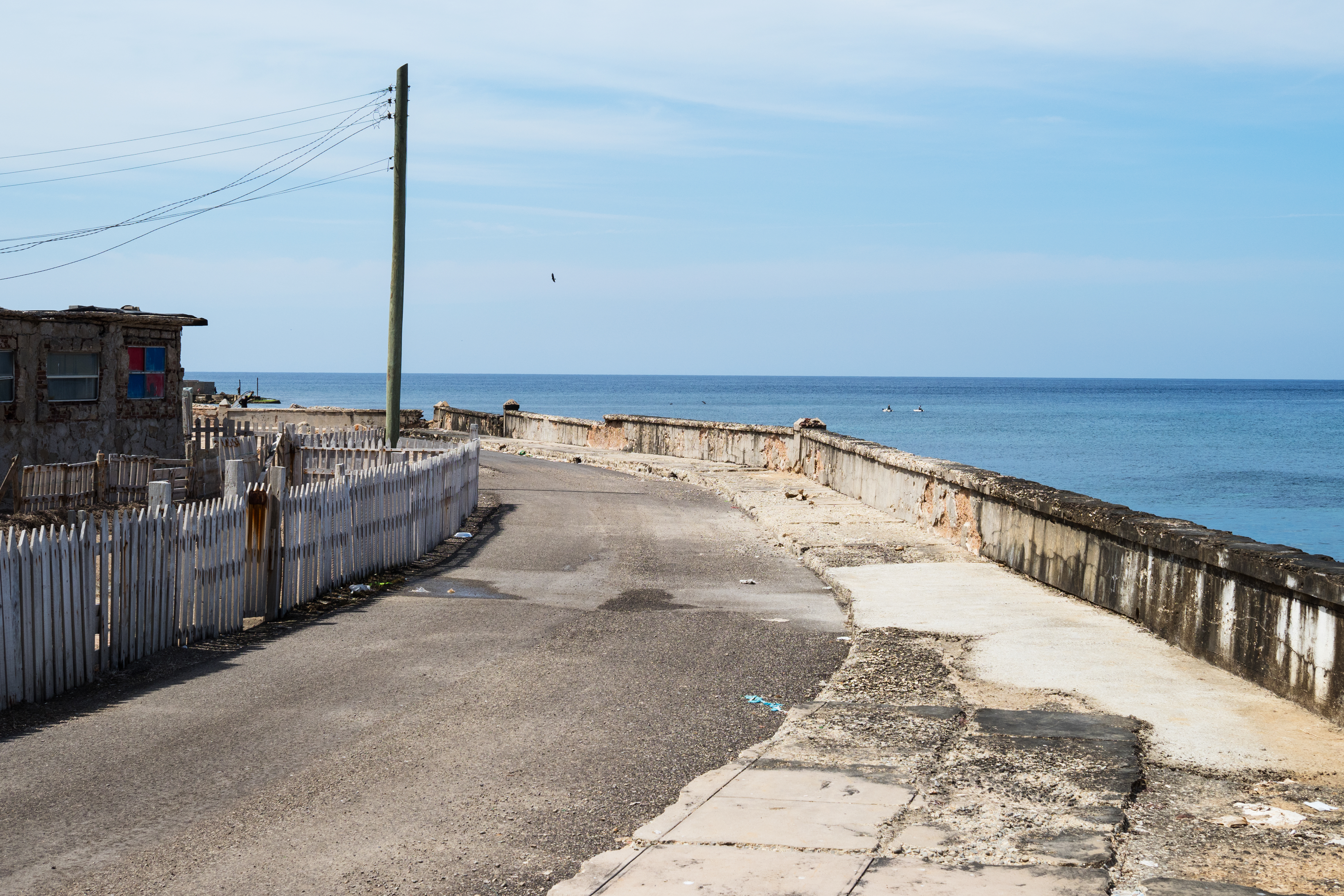 E-M1 Mark II / M.ZUIKO DIGITAL ED 25mm F1.2 PRO / F8 / 1/350秒 / ISO200 / 絞り優先AE（+ 0.5EV）