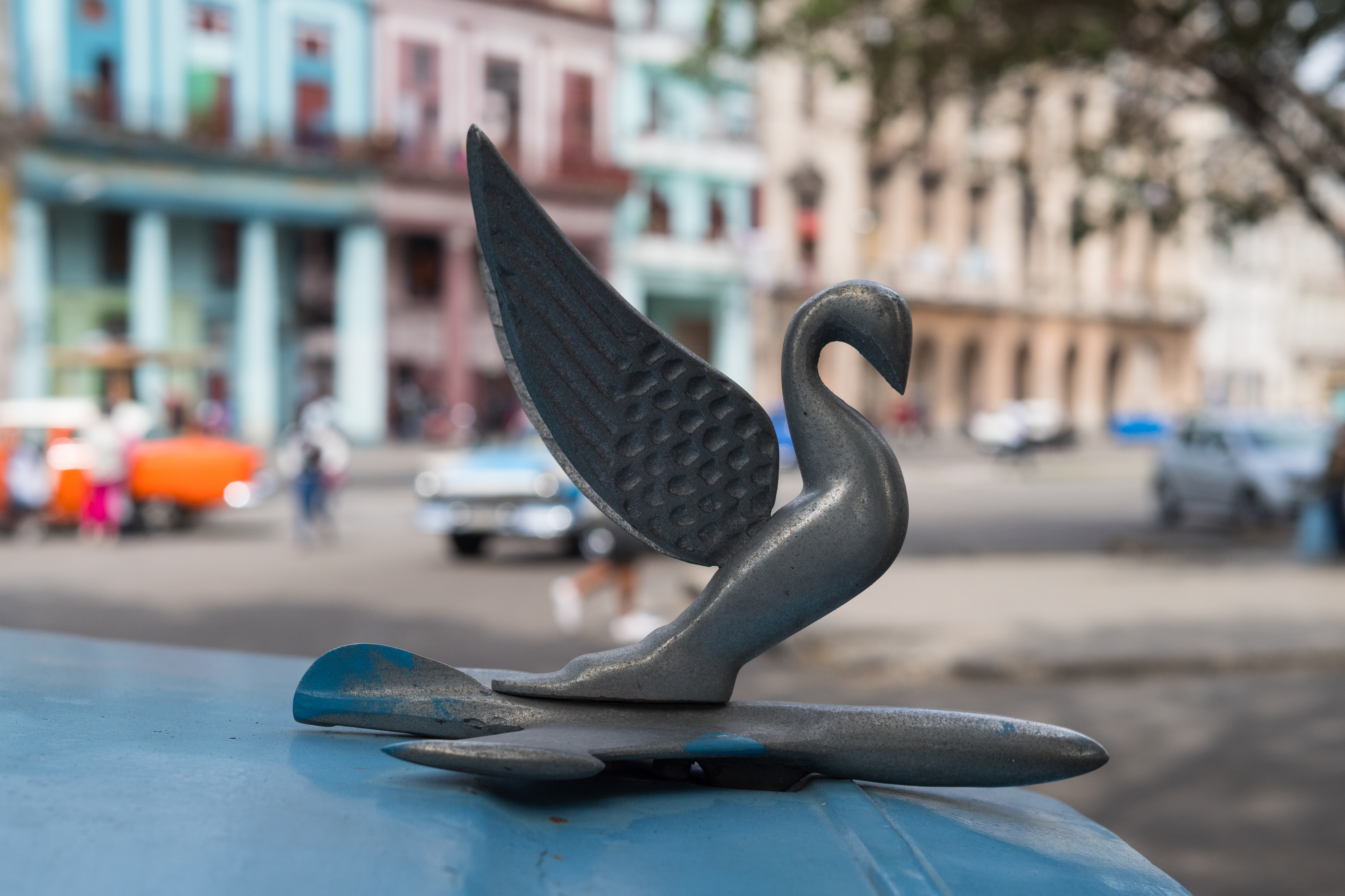 E-M1 Mark II / M.ZUIKO DIGITAL ED 25mm F1.2 PRO / F3.5 / 1/1000秒 / ISO200 / 絞り優先AE（-0.5EV）