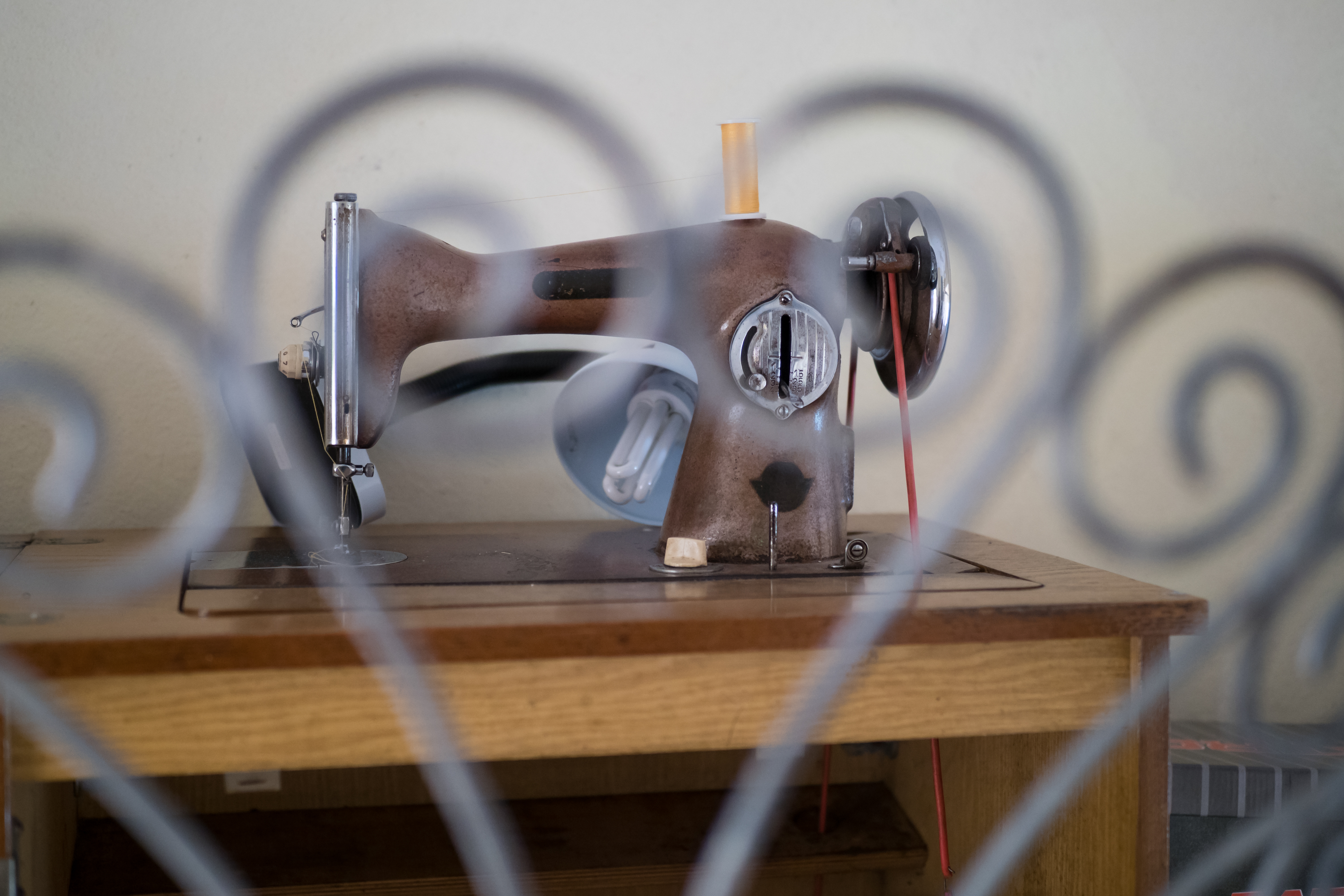 E-M1 Mark II / M.ZUIKO DIGITAL ED 25mm F1.2 PRO / F1.2 / 1/125秒 / ISO800 / 絞り優先AE（+0.5EV）