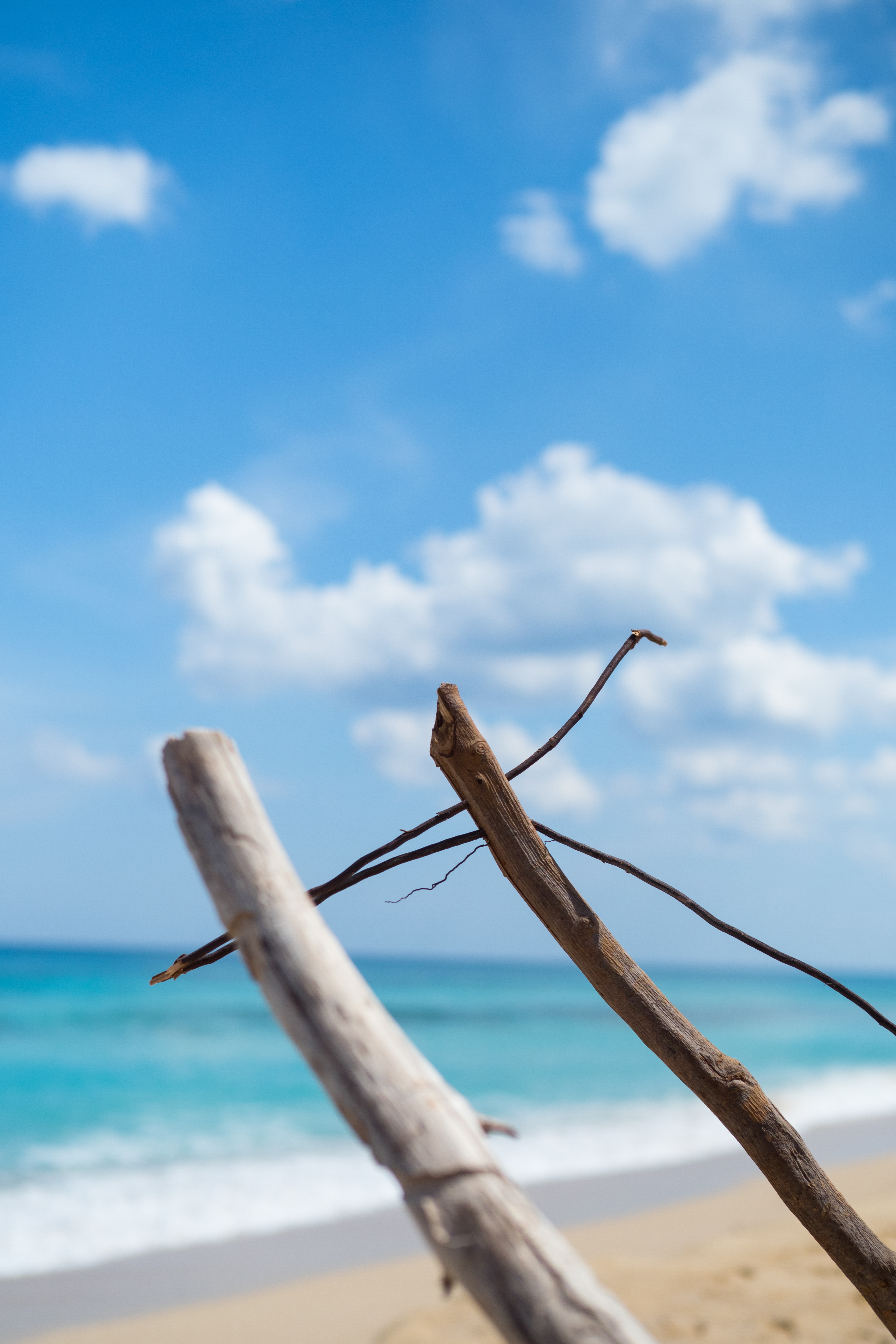 E-M1 Mark II / M.ZUIKO DIGITAL ED 25mm F1.2 PRO / F2 / 1/8,000秒 / ISO200 / 絞り優先AE