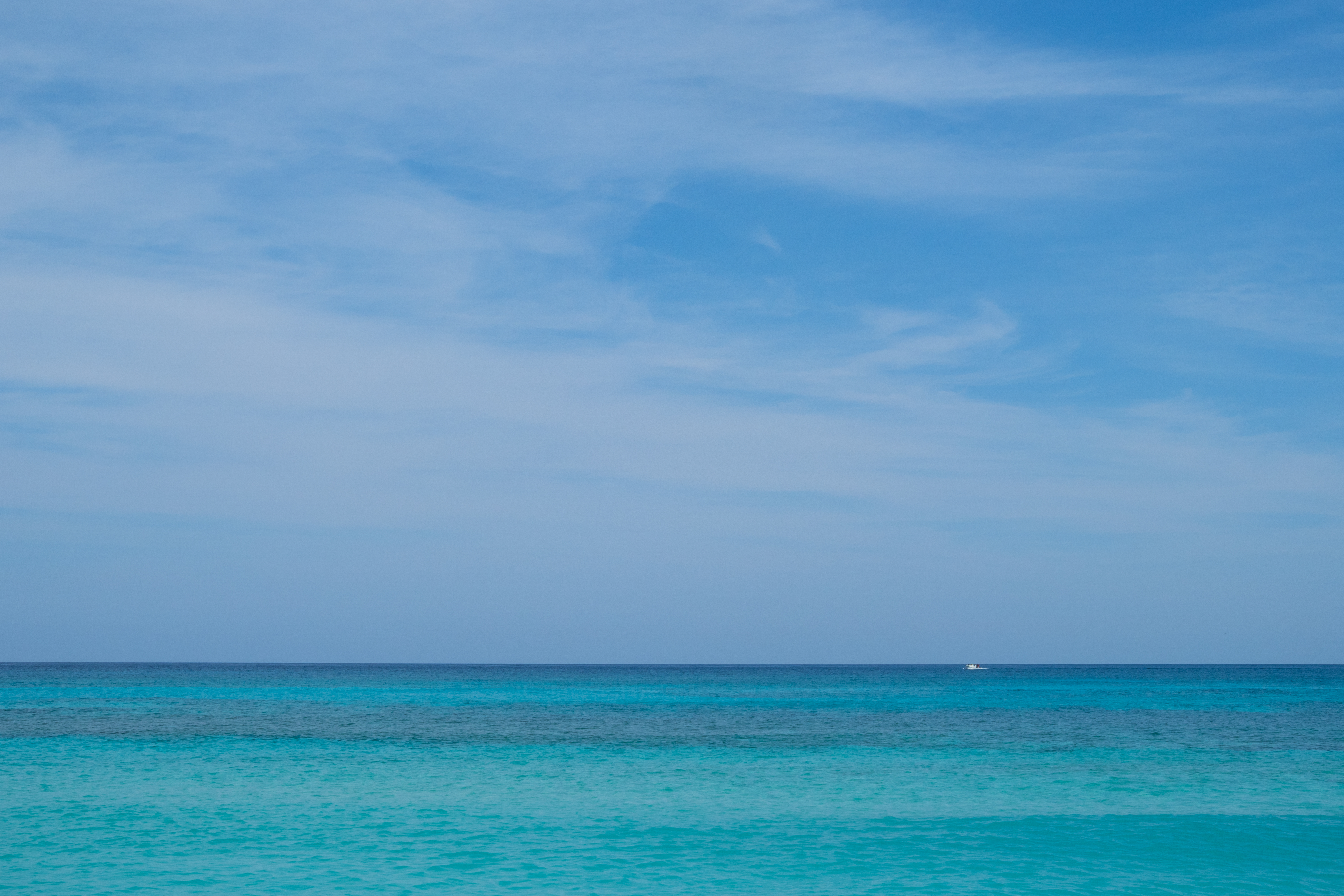 E-M1 Mark II / M.ZUIKO DIGITAL ED 25mm F1.2 PRO / F11 / 1/250秒 / ISO200 / 絞り優先AE