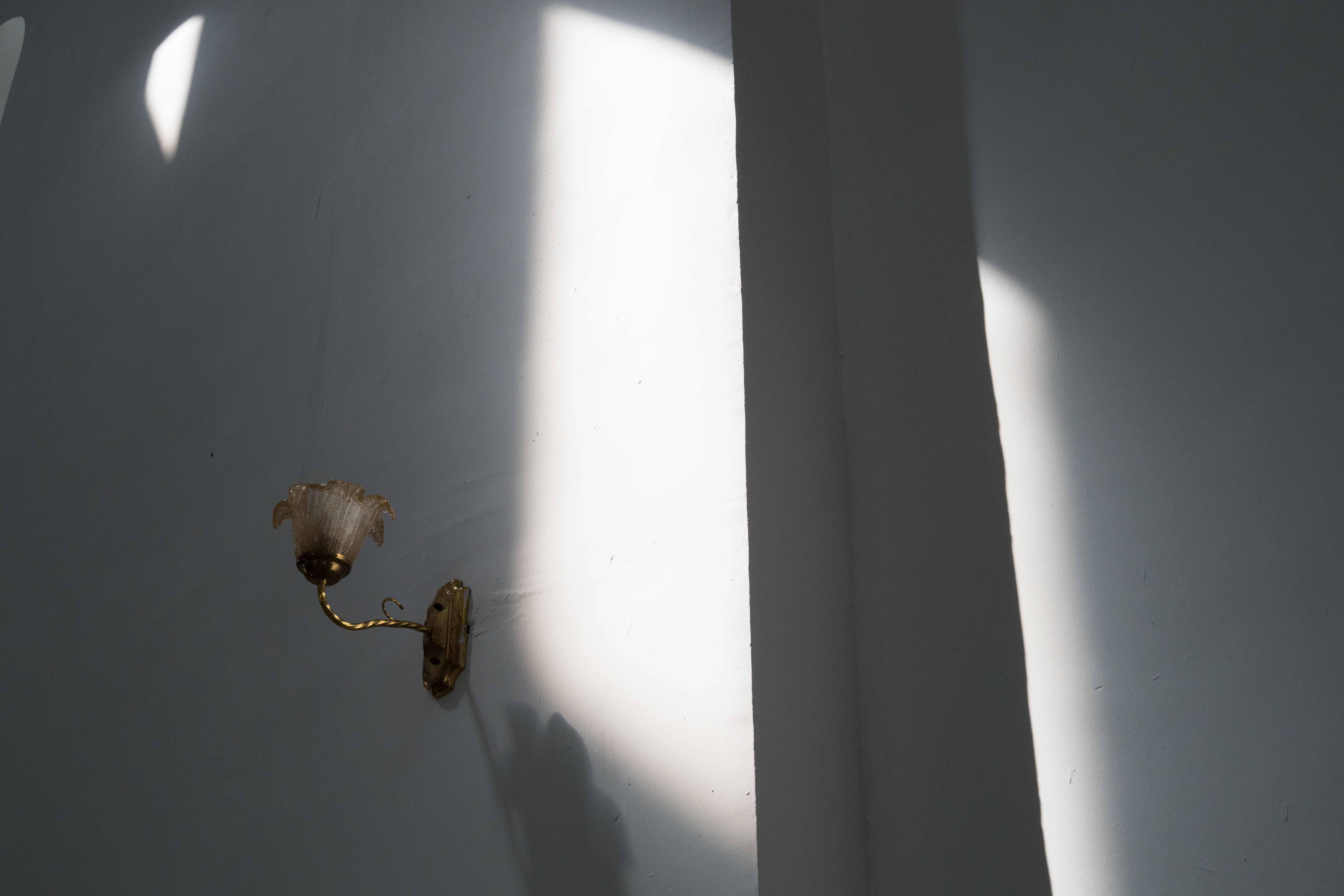 E-M1 Mark II / M.ZUIKO DIGITAL ED 25mm F1.2 PRO / F８ / 1/180秒 / ISO400 / 絞り優先AE（-0.5EV）