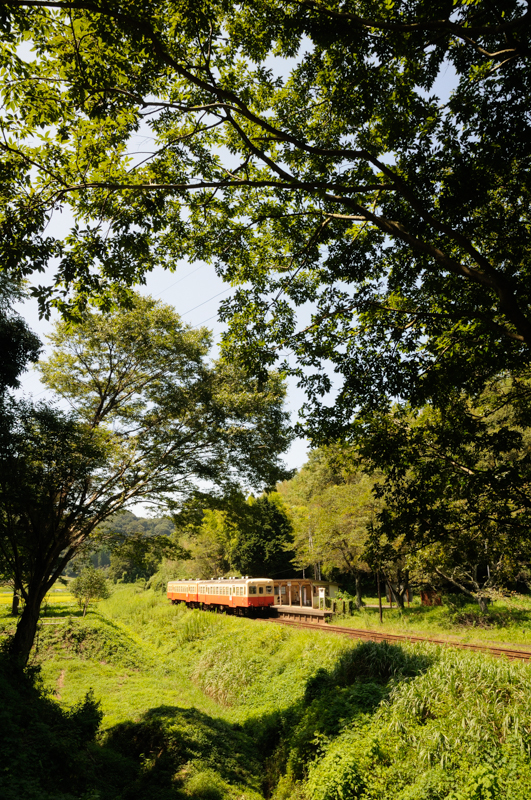撮影：中井精也