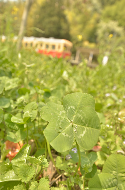 撮影：中井精也