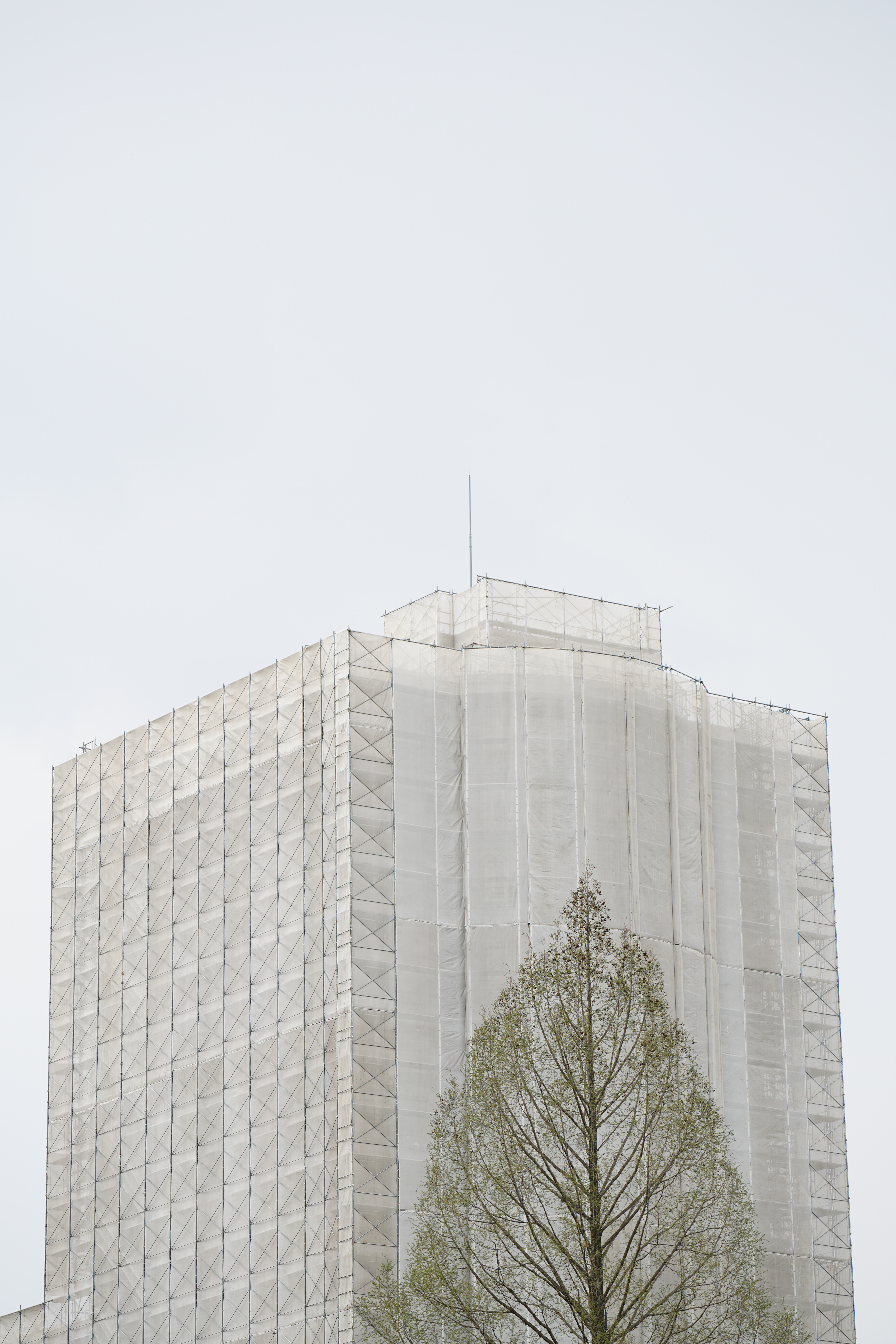 α7R II / ZEISS Batis 2.8/135 / 1/125秒 / F5.6 / +0.7EV / ISO100 / 絞り優先AE / 135mm