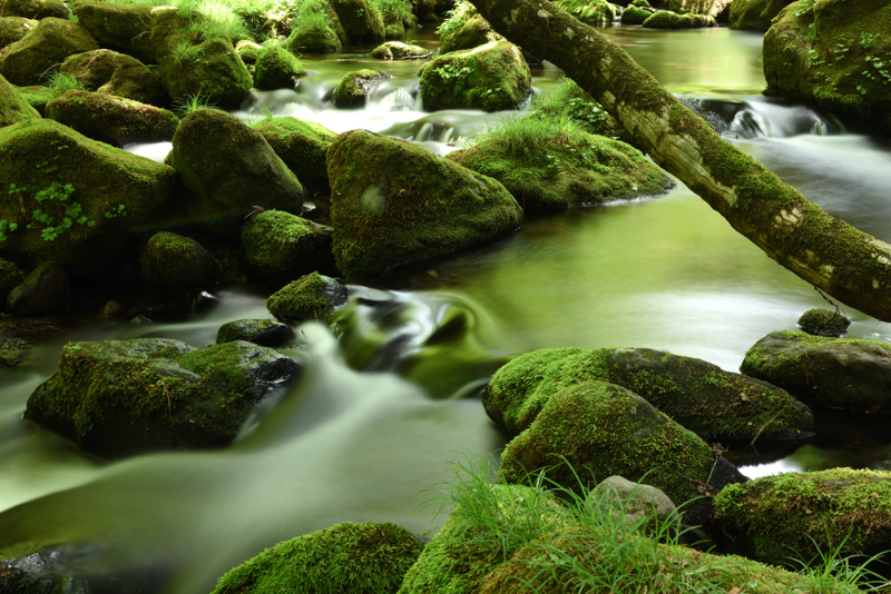 D810 / AF-S NIKKOR 24-70mm f/2.8G ED / 44mm / 絞り優先AE（F16、20秒、±0EV） / ISO 32相当 / WB：太陽光