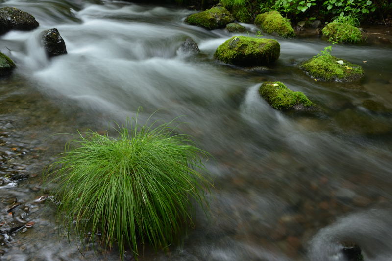 D810 / AF-S NIKKOR 24-70mm f/2.8G ED / 44mm / 絞り優先AE（F11、2.5秒、-0.3EV） / ISO 100 / WB：太陽光