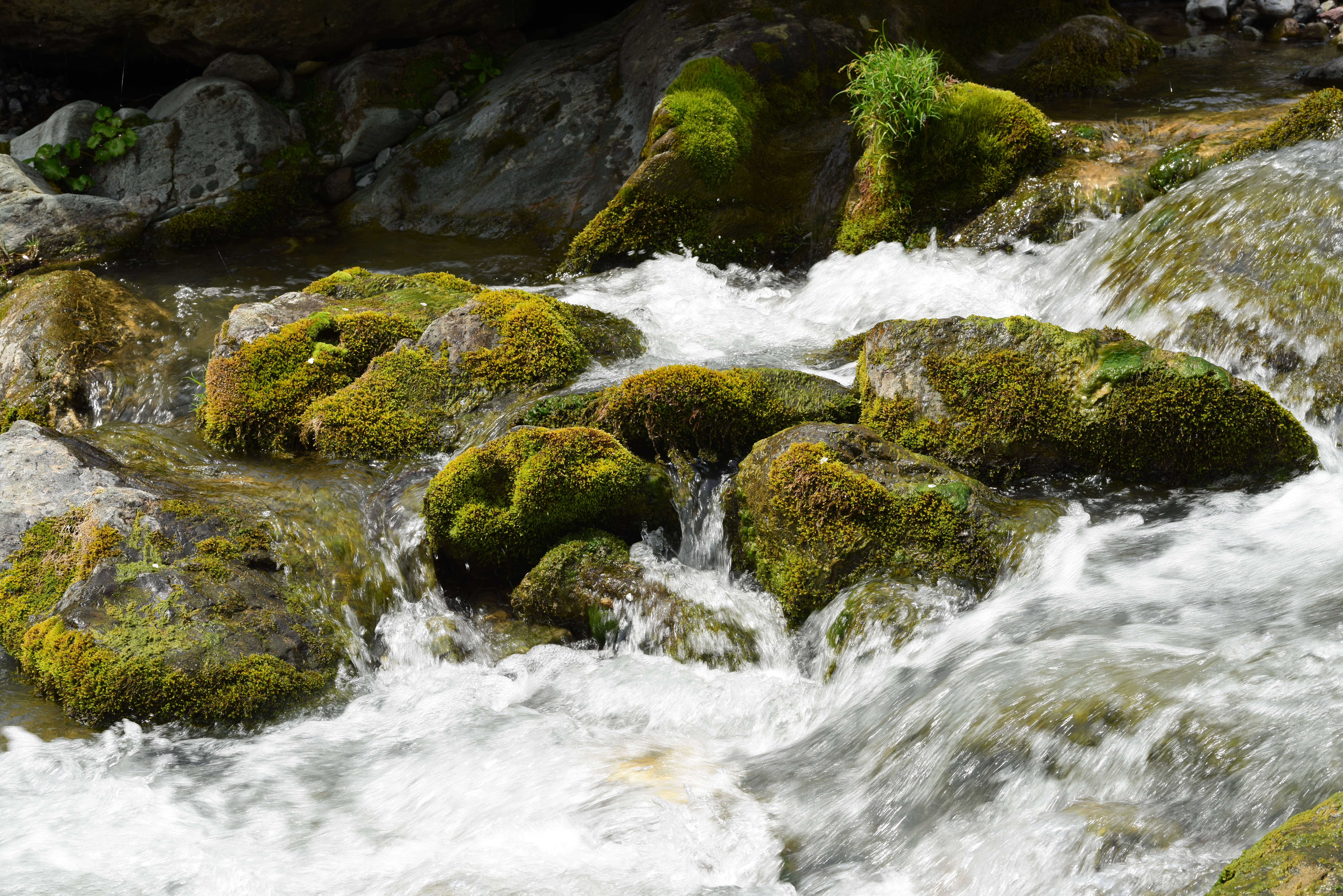 NDなし（赤枠内を等倍で表示）