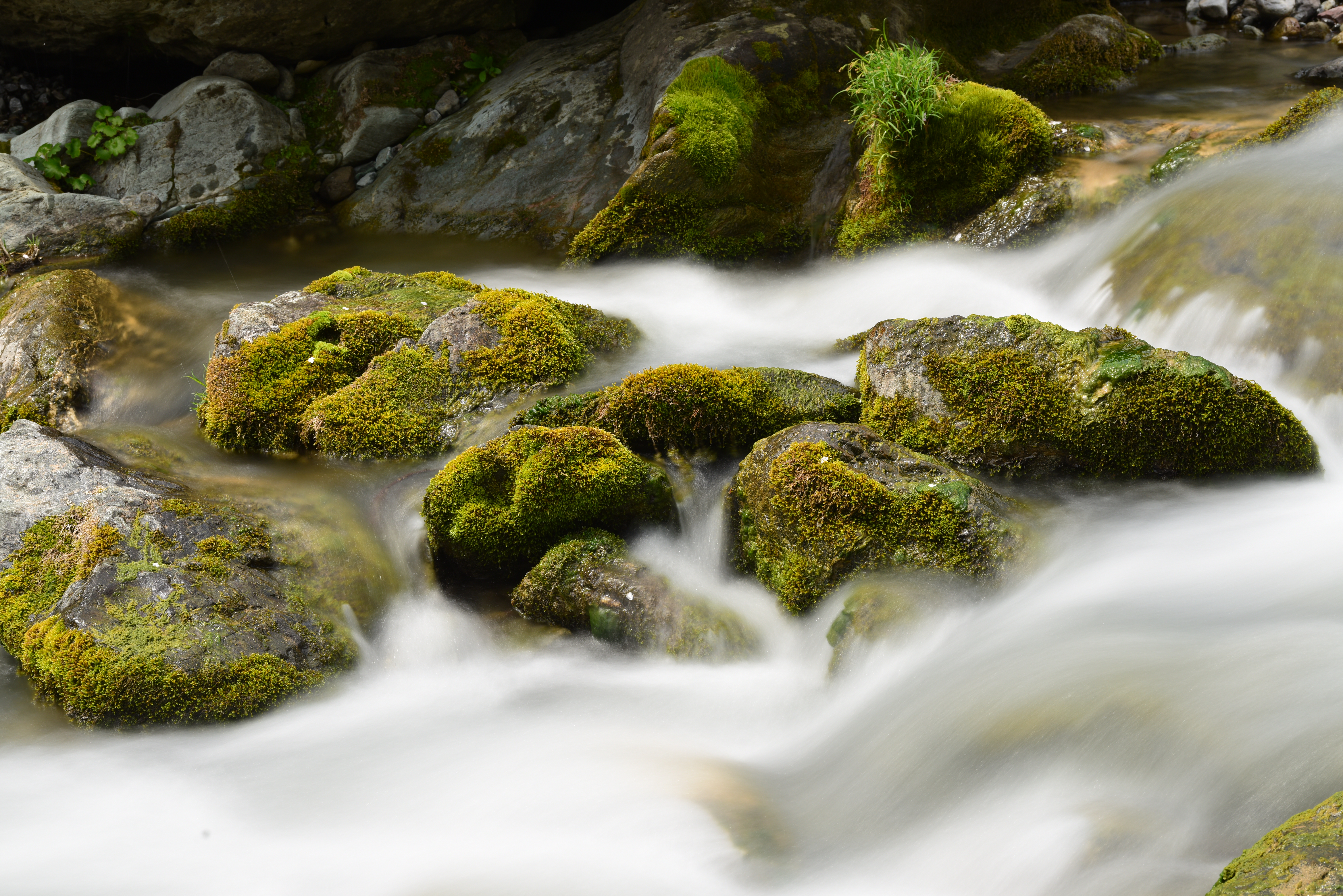 ZX ND8 + ZX ND16（赤枠内を等倍で表示）