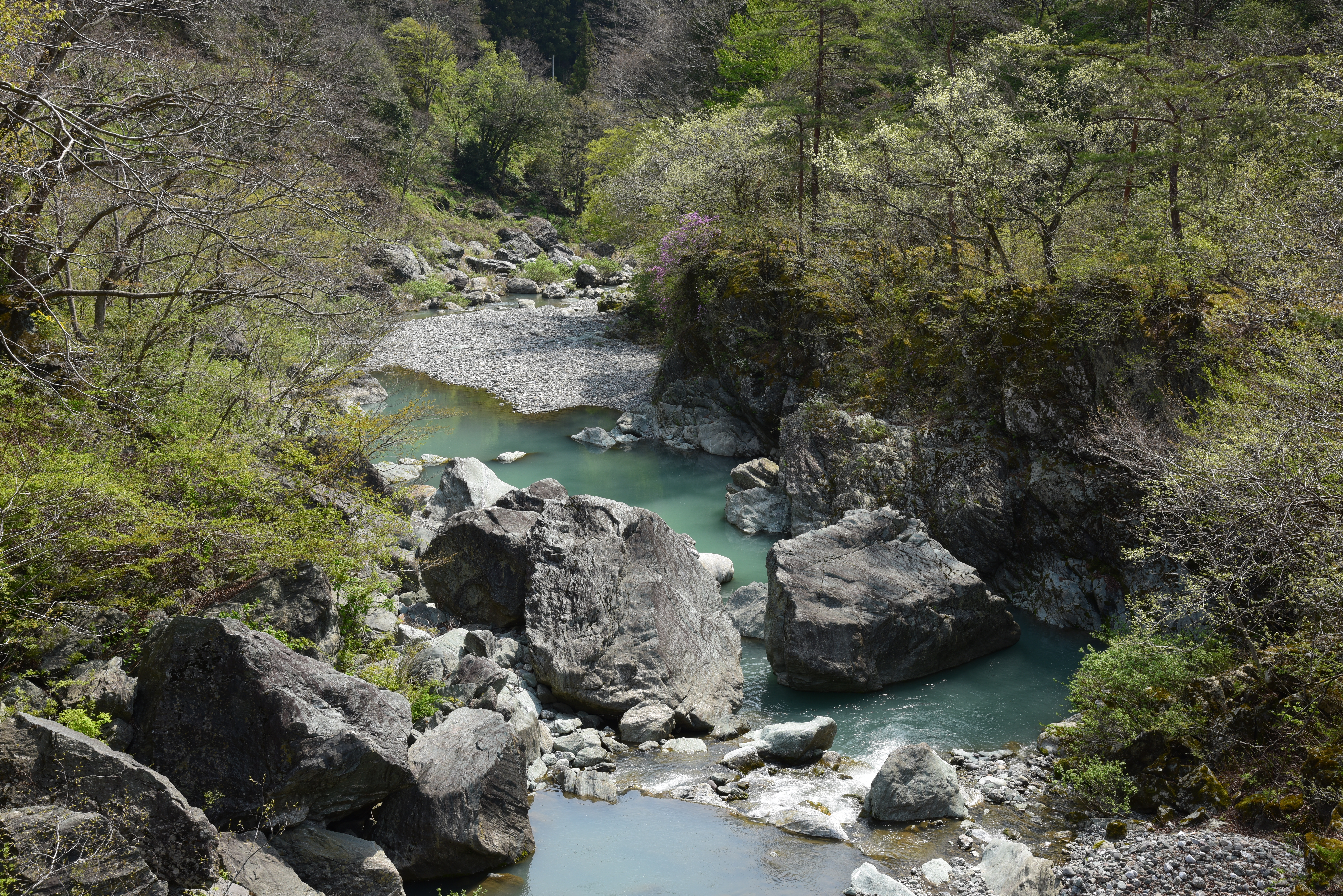 NDなし（赤枠内を等倍で表示）