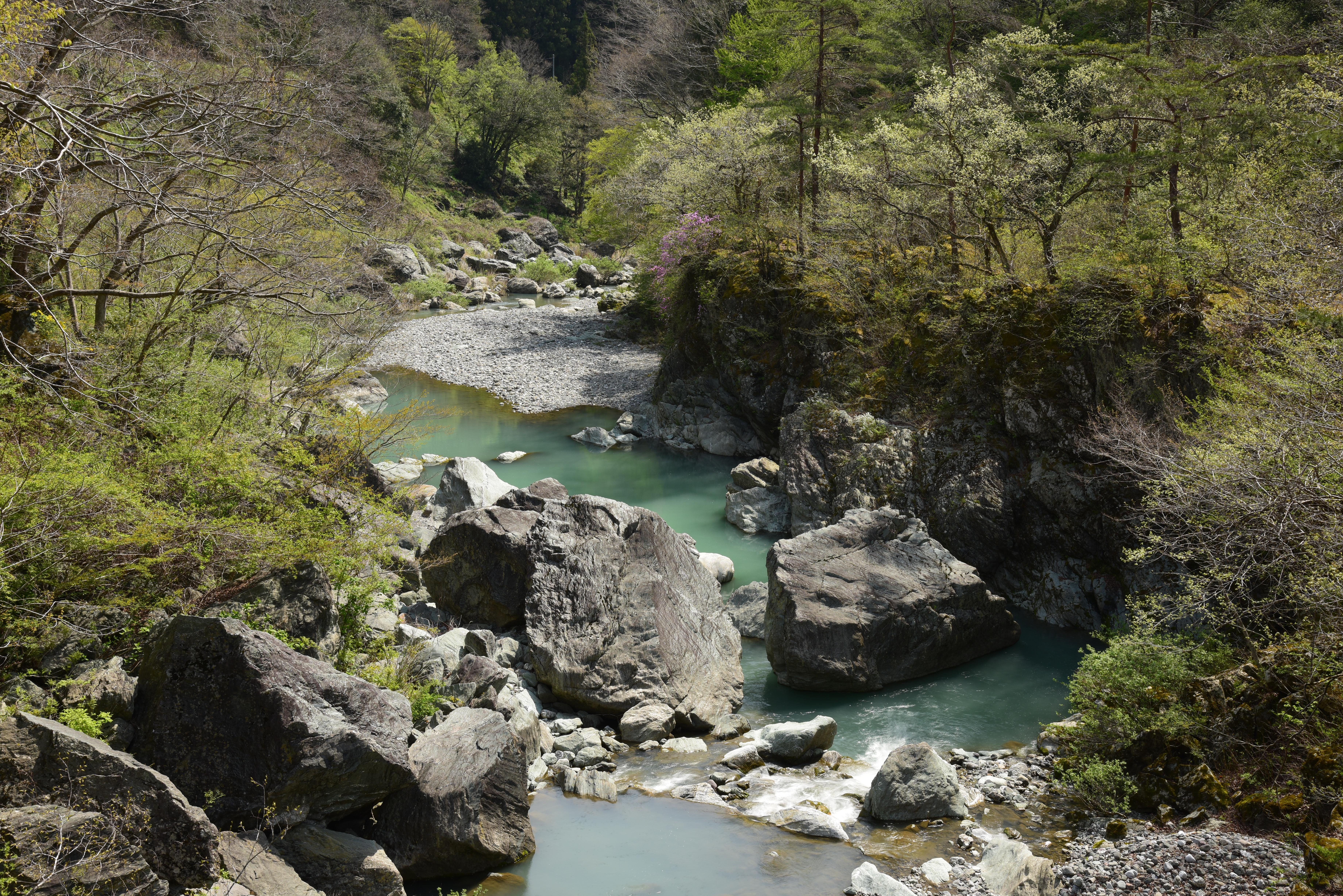 ZX ND16（赤枠内を等倍で表示）