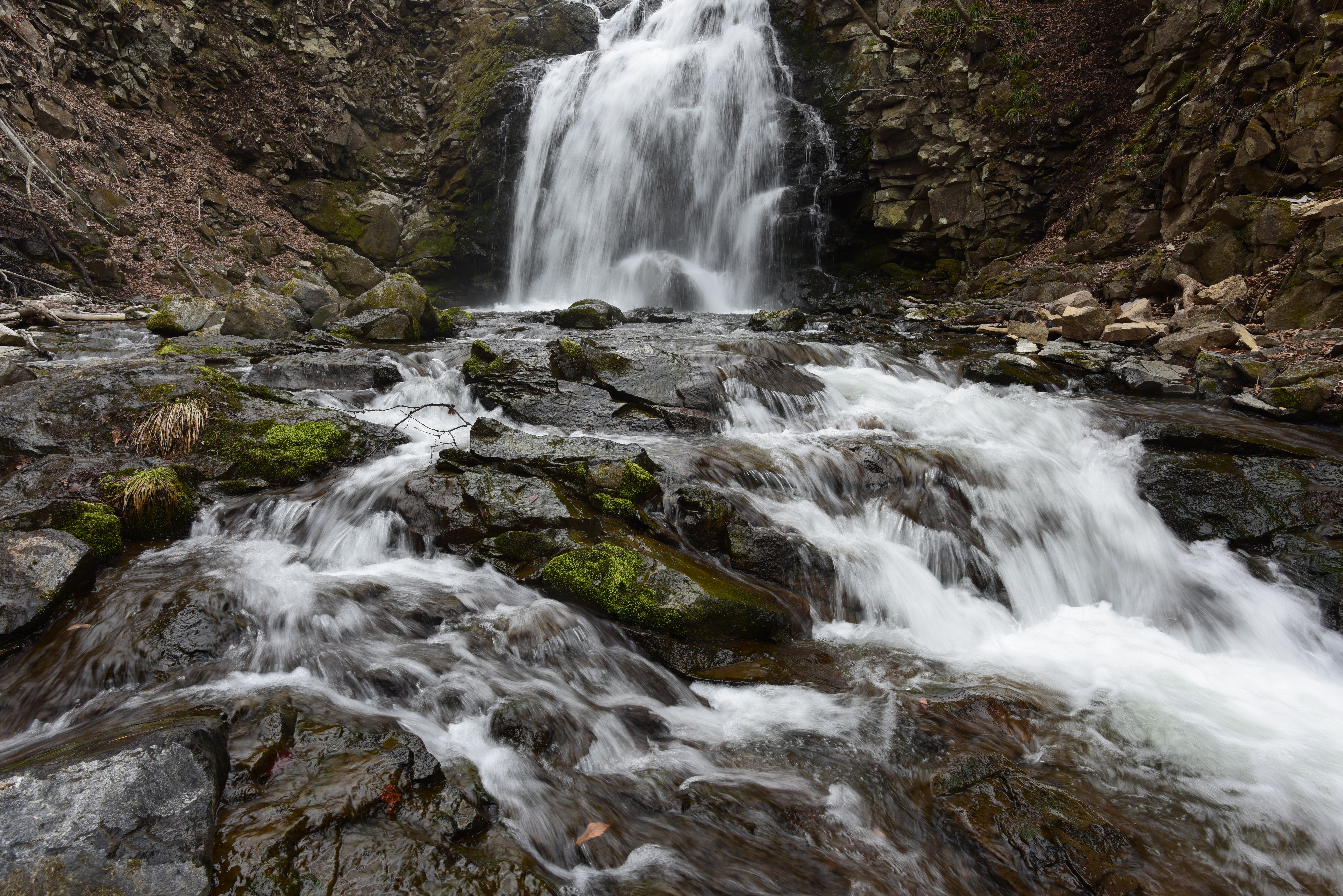NDなし（赤枠内を等倍で表示）