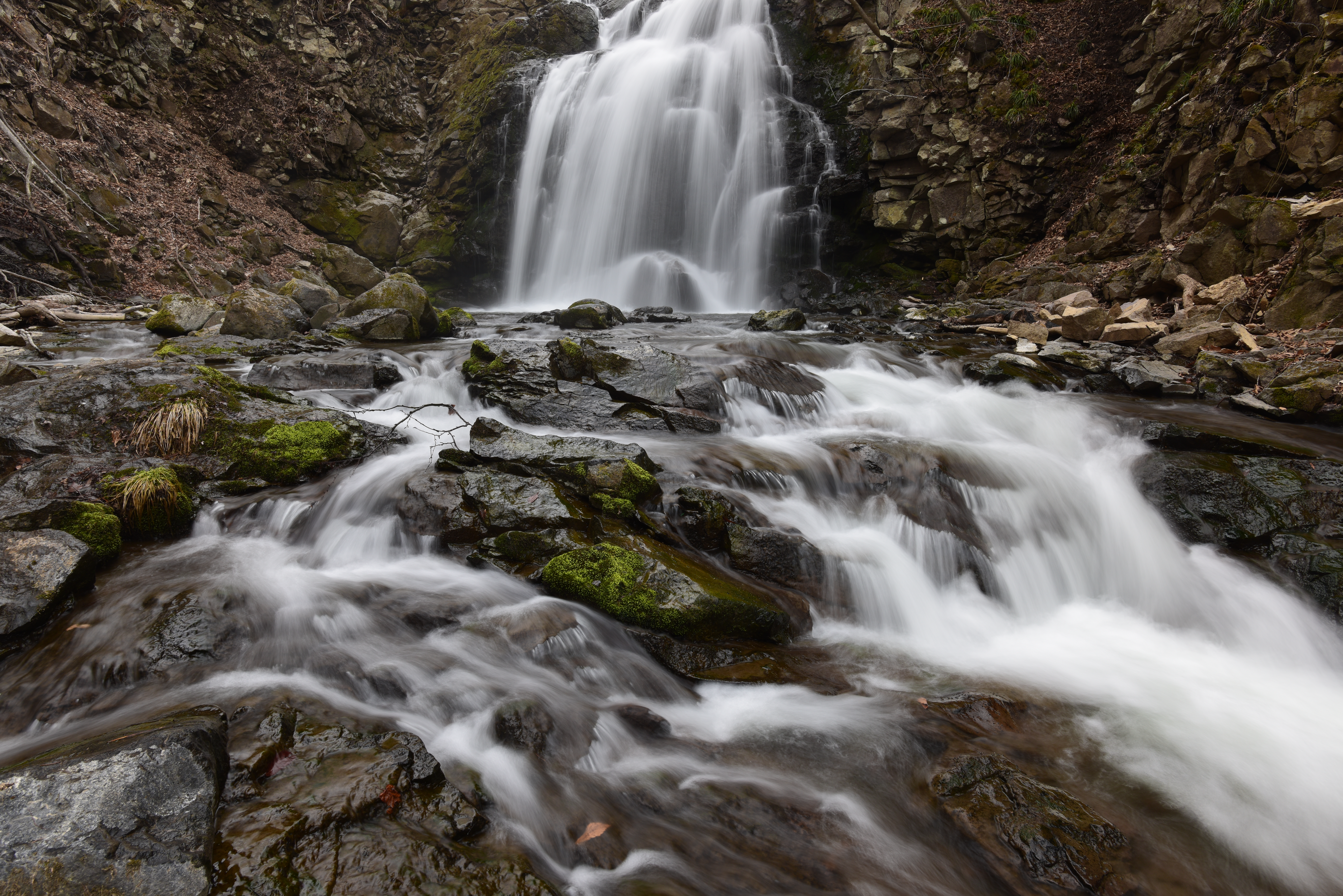 ZX ND8（赤枠内を等倍で表示）