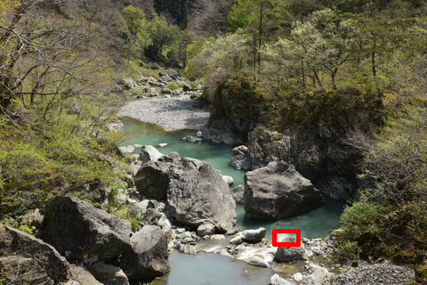 専用1 Amazon | Kenko NDフィルター PRO1D Lotus ND64 62mm 光量調節用 撥水