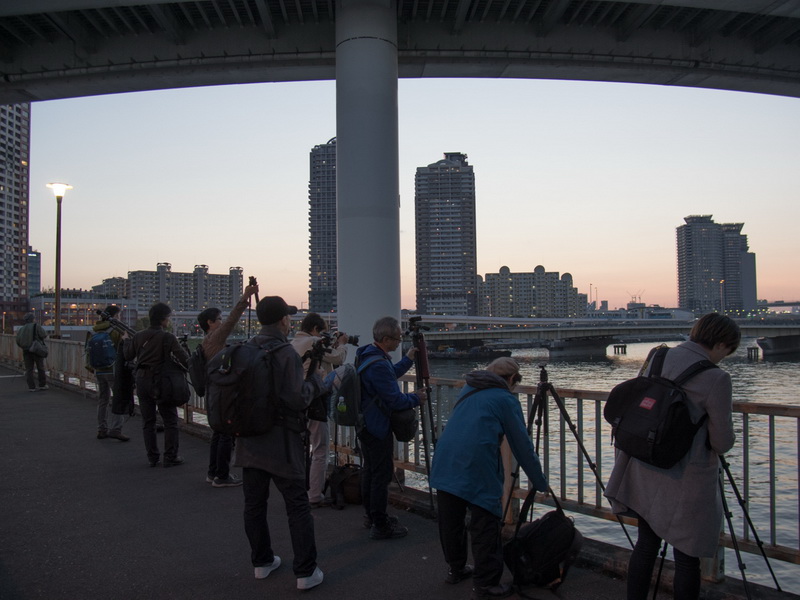 そろそろ三脚が必要になる頃合い