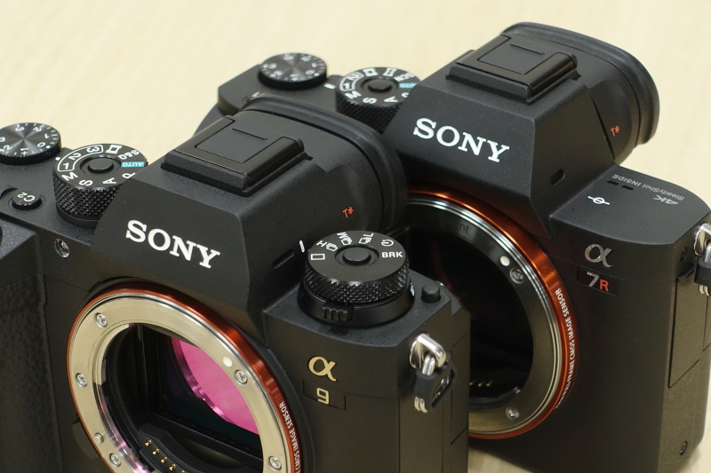 ペンタ部のラインが微妙に異なる