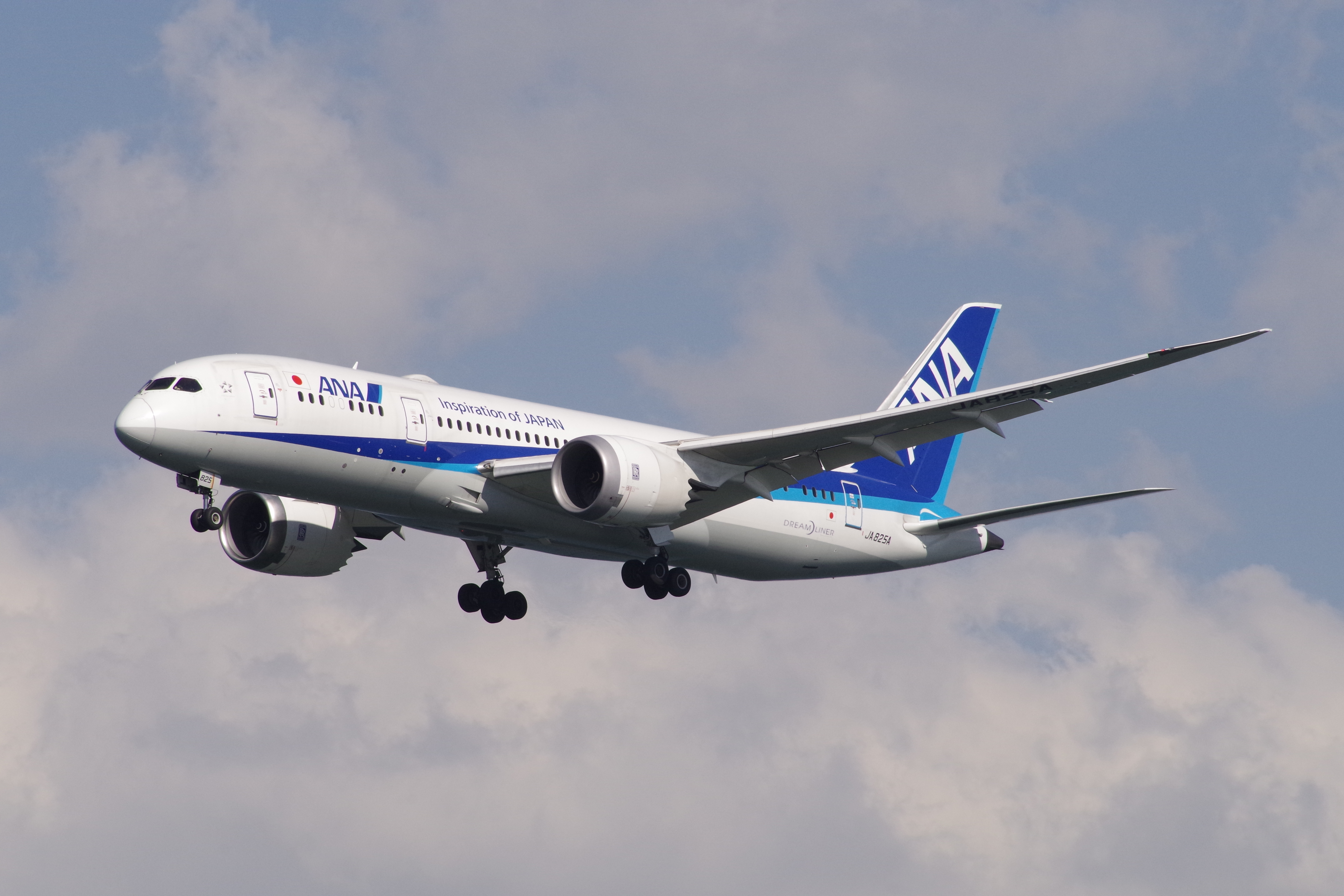 K-1 / 1/1,000秒 / F13 / +0.7EV / ISO800