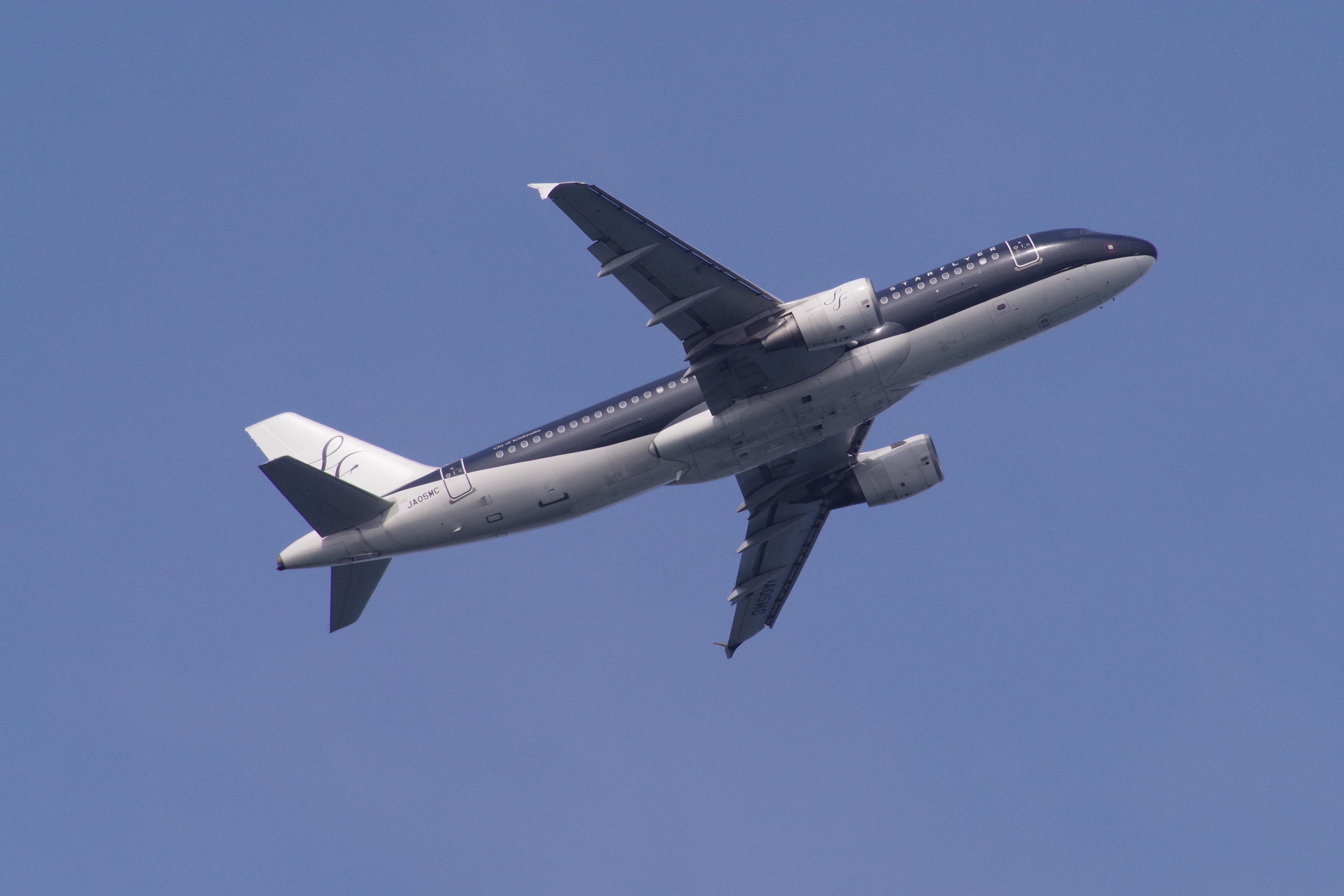 K-1 / 1/1,000秒 / F11 / +0.7EV / ISO1000