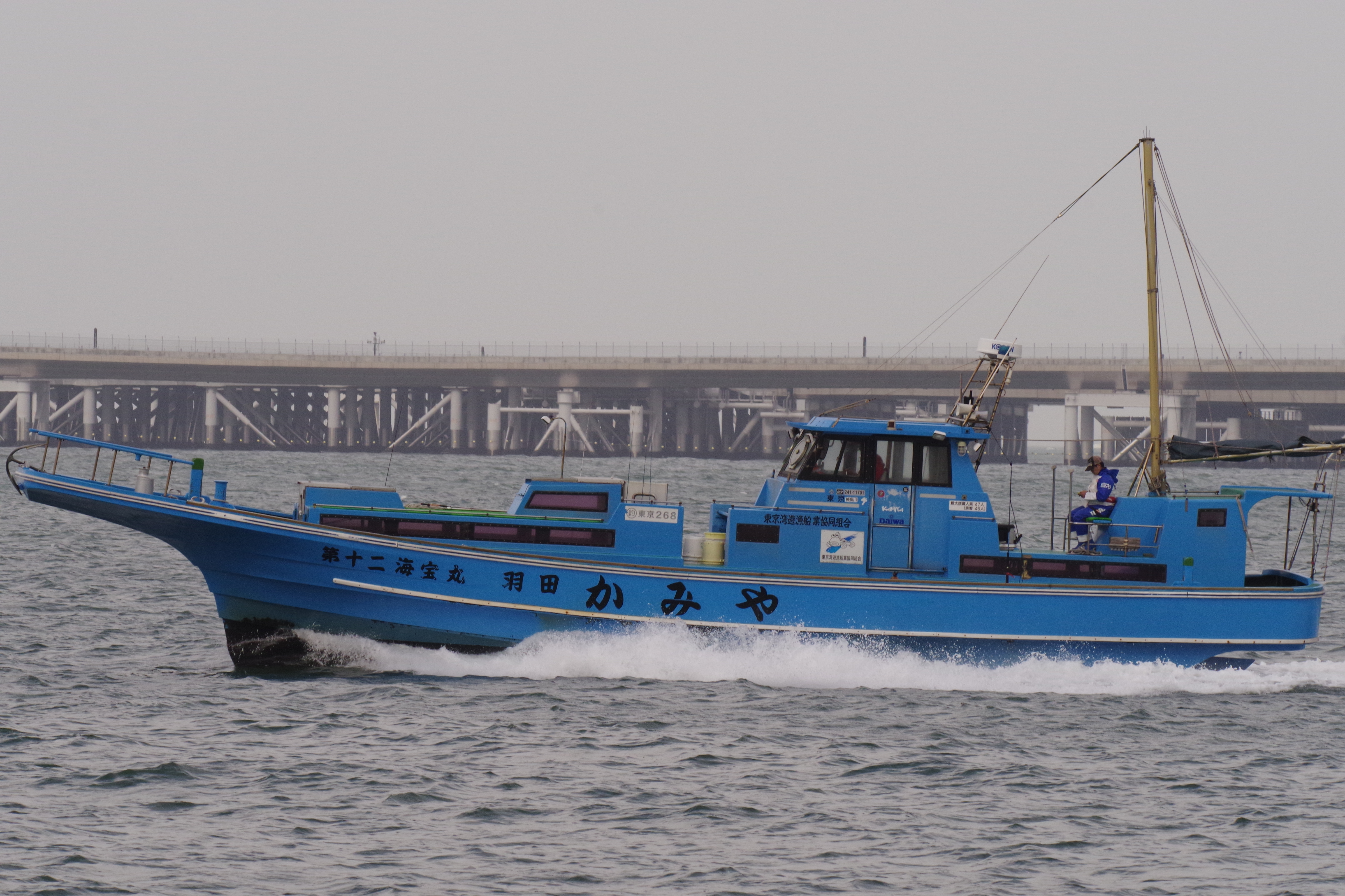 連写した中の1枚。K-1 / 1/1,000秒 / F13 / +0.7EV / ISO1600