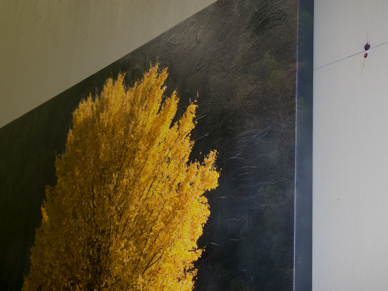 近くで見ると、画材の盛り上がりが見える。