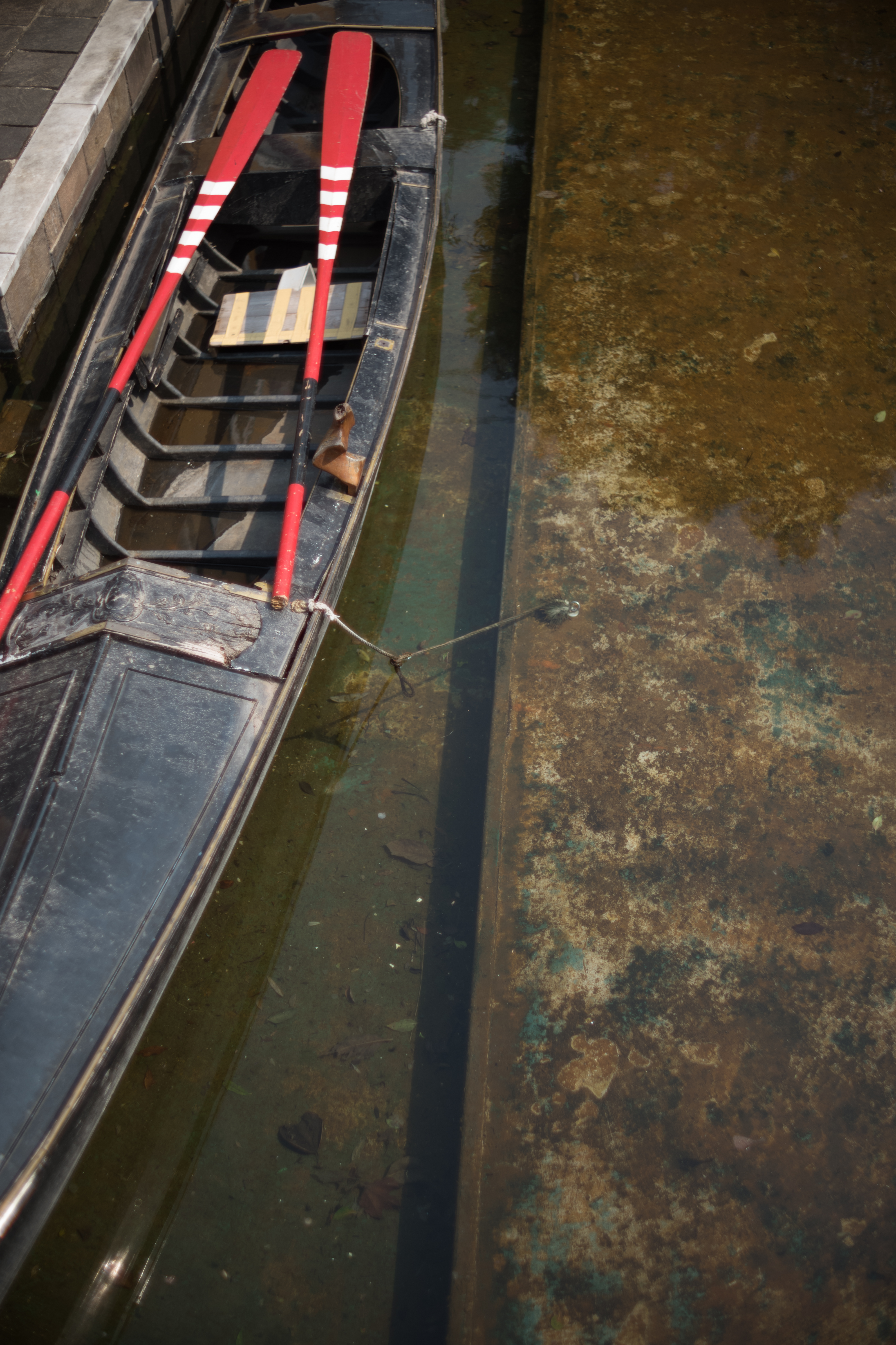 Leica M10 / Kistar 35mm F1.4 / 1/3,000秒 / F1.4 / -1.33EV / ISO100 / AWB