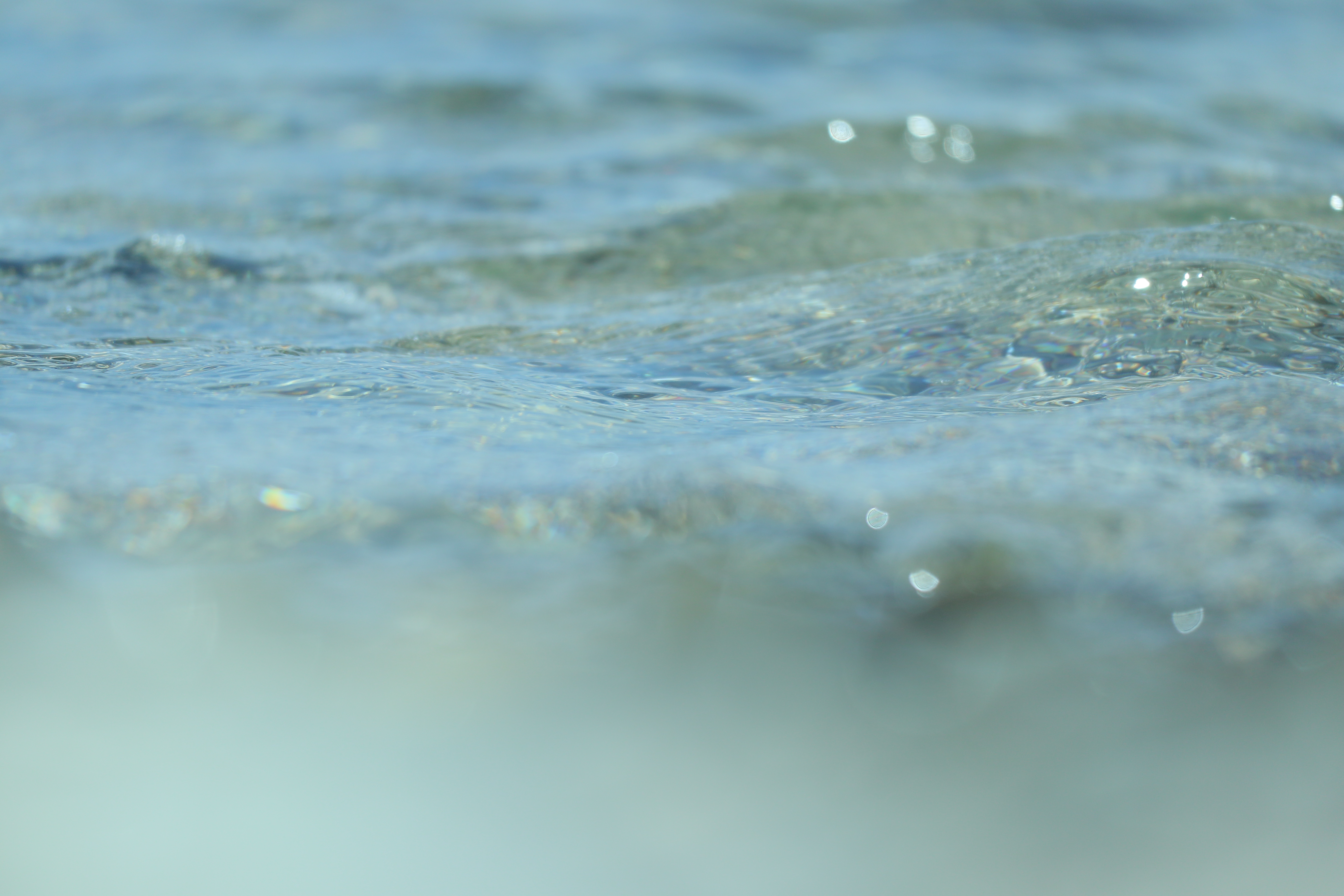 EF-M55-200mm F4.5-6.3 IS STM / 1/1,000秒 / F6.3 / 0EV / ISO250 / マニュアル露出 / WB：太陽光（B9、G8）/ 200mm