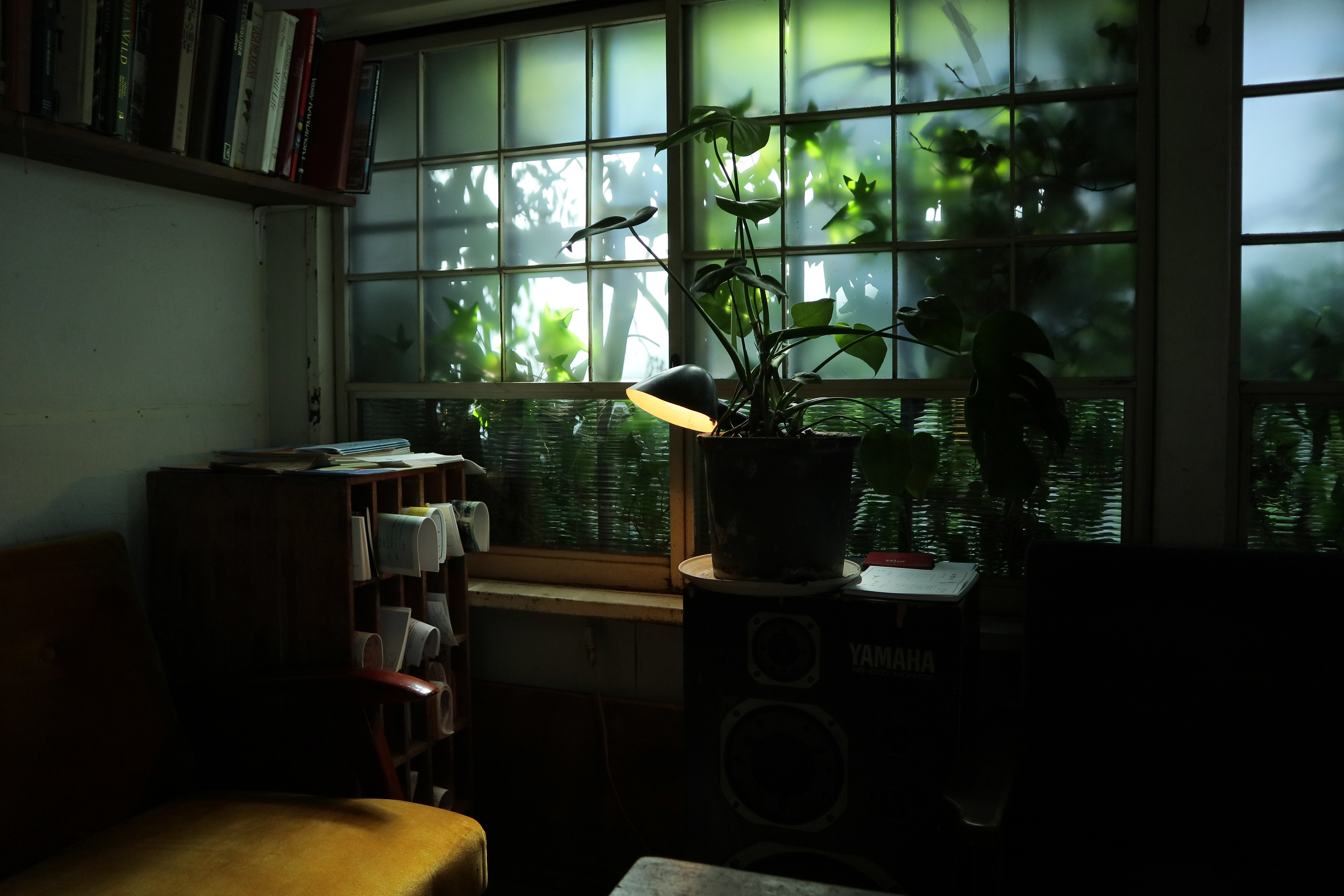 EF-M15-45mm F3.5-6.3 IS STM / 1/400秒 / F3.5 / 0EV / ISO800 / マニュアル露出 / WB：太陽光（B9、G8）/ 16mm