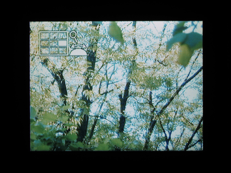 再生画像の拡大は、拡大表示ボタン（QUAL表記のボタン）を1回押す。そして、コマンドダイヤル操作で拡大表示の位置を変更する。まあ、13万ドット液晶の3倍表示だから、あまり細かい部分は確認できないけどね。