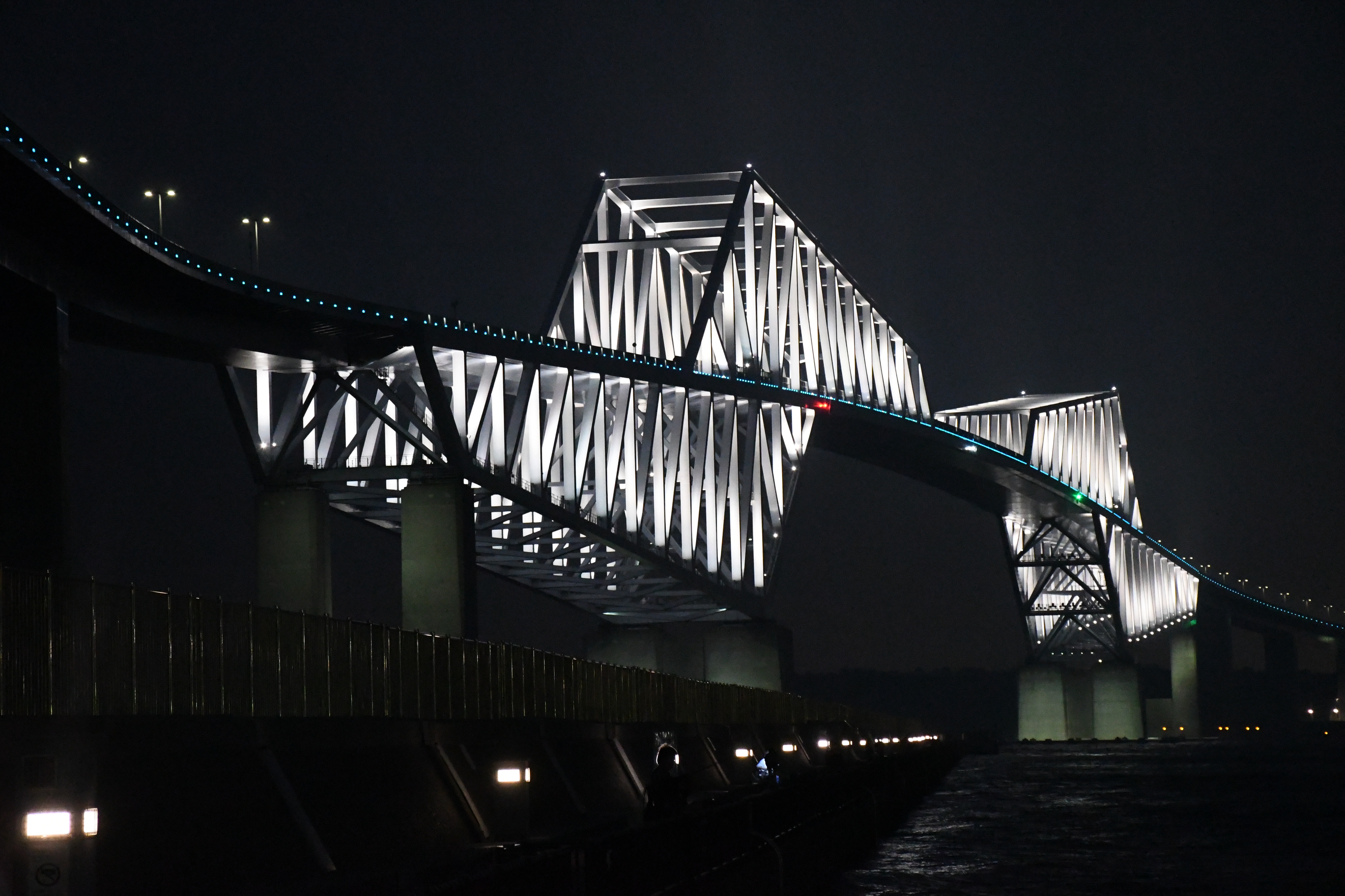 AF-S DX NIKKOR 18-140mm f/3.5-5.6G ED VR / 1/30秒 / F8 / -0.3EV / ISO12800 / 絞り優先AE / 75mm