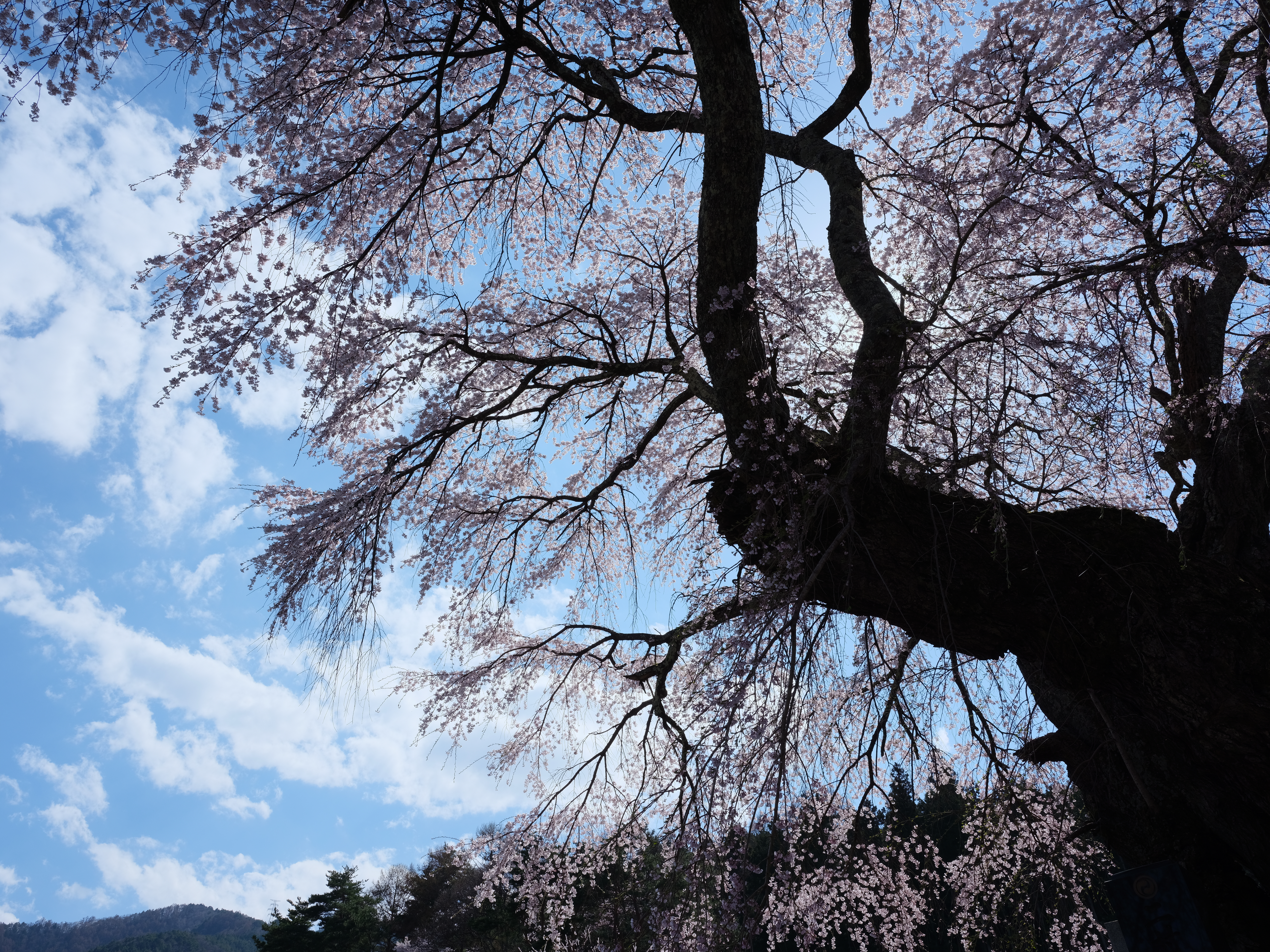 DR400。GF32-64mm F4 R LM WR / 1/250秒 / F16 / +0.7EV / ISO400 / 絞り優先AE / 32mm / フィルムシミュレーション：プロビア