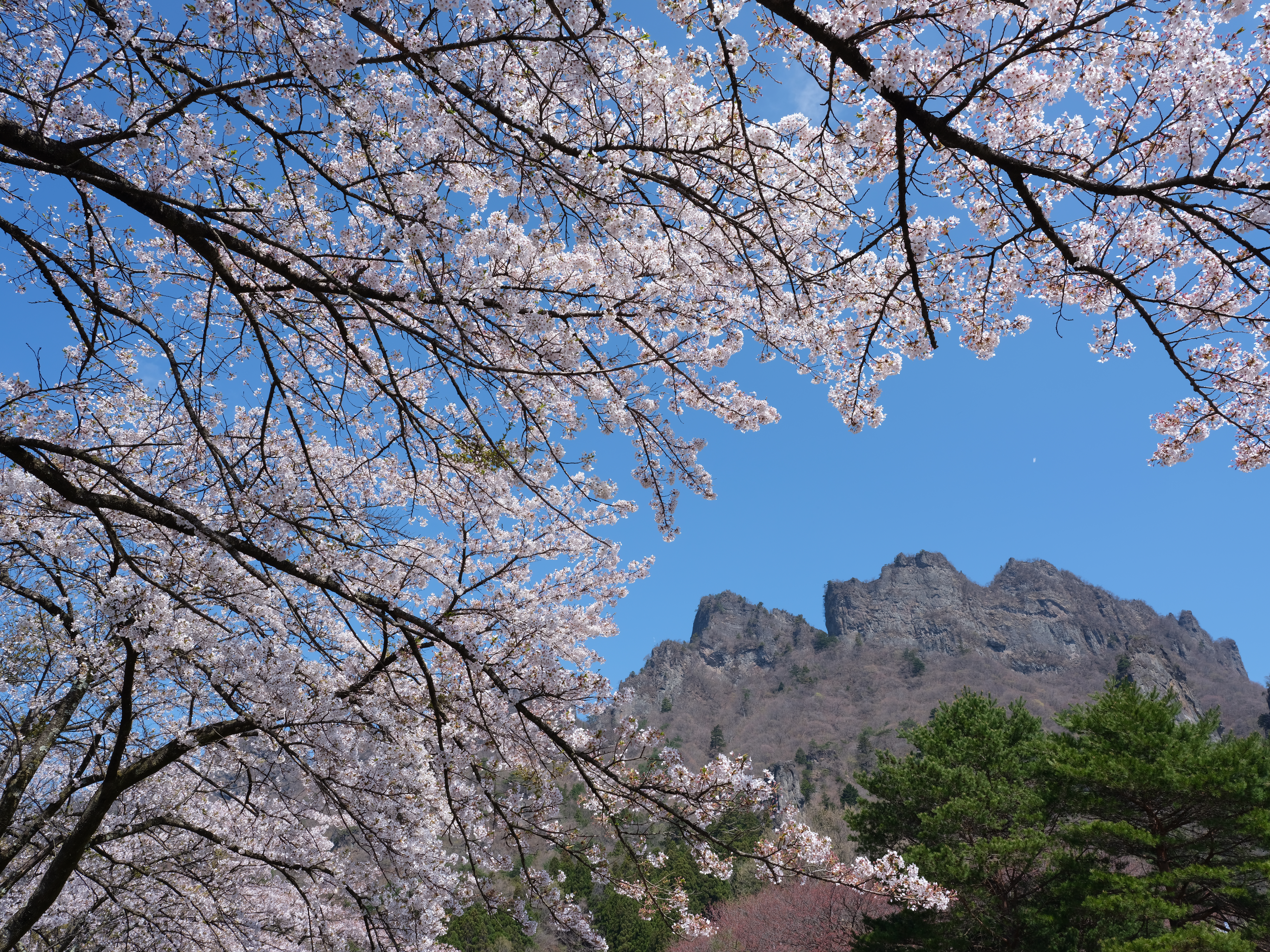 GF32-64mm F4 R LM WR / 1/40秒 / F16 / +0.3EV / ISO100 / 絞り優先AE / 32mm / フィルムシミュレーション：プロビア