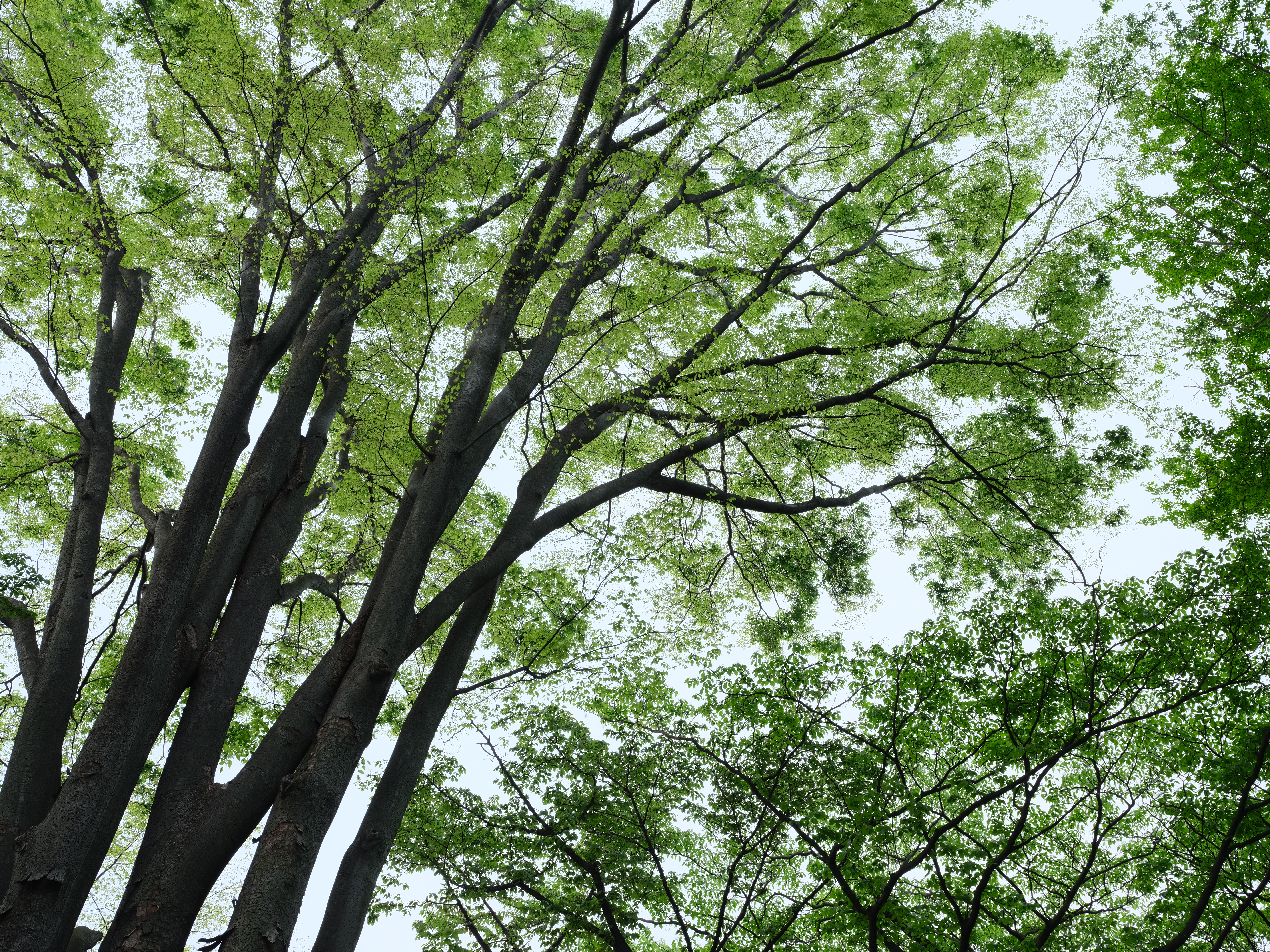 GF32-64mm F4 R LM WR / 1/18秒 / F11 / +2EV / ISO400 / 絞り優先AE / 43.3mm / フィルムシミュレーション：プロビア