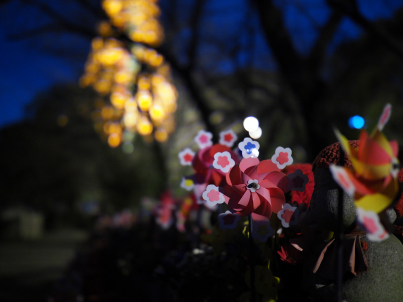 暗い状況下での低速シャッター。しかもファインダーではなく、背面液晶モニターを動かしてのローポジション・ローアングルでの撮影だが、強力な手ぶれ補正機構のおかげでISO 800でもブレることなく撮影できた。<br><span class="fnt-85">OM-D E-M1 Mark II / M.ZUIKO DIGITAL ED 25mm F1.2 PRO /25mm（50mm相当） / 絞り優先AE（F1.2、1/13秒、±0EV） / ISO 800</span>