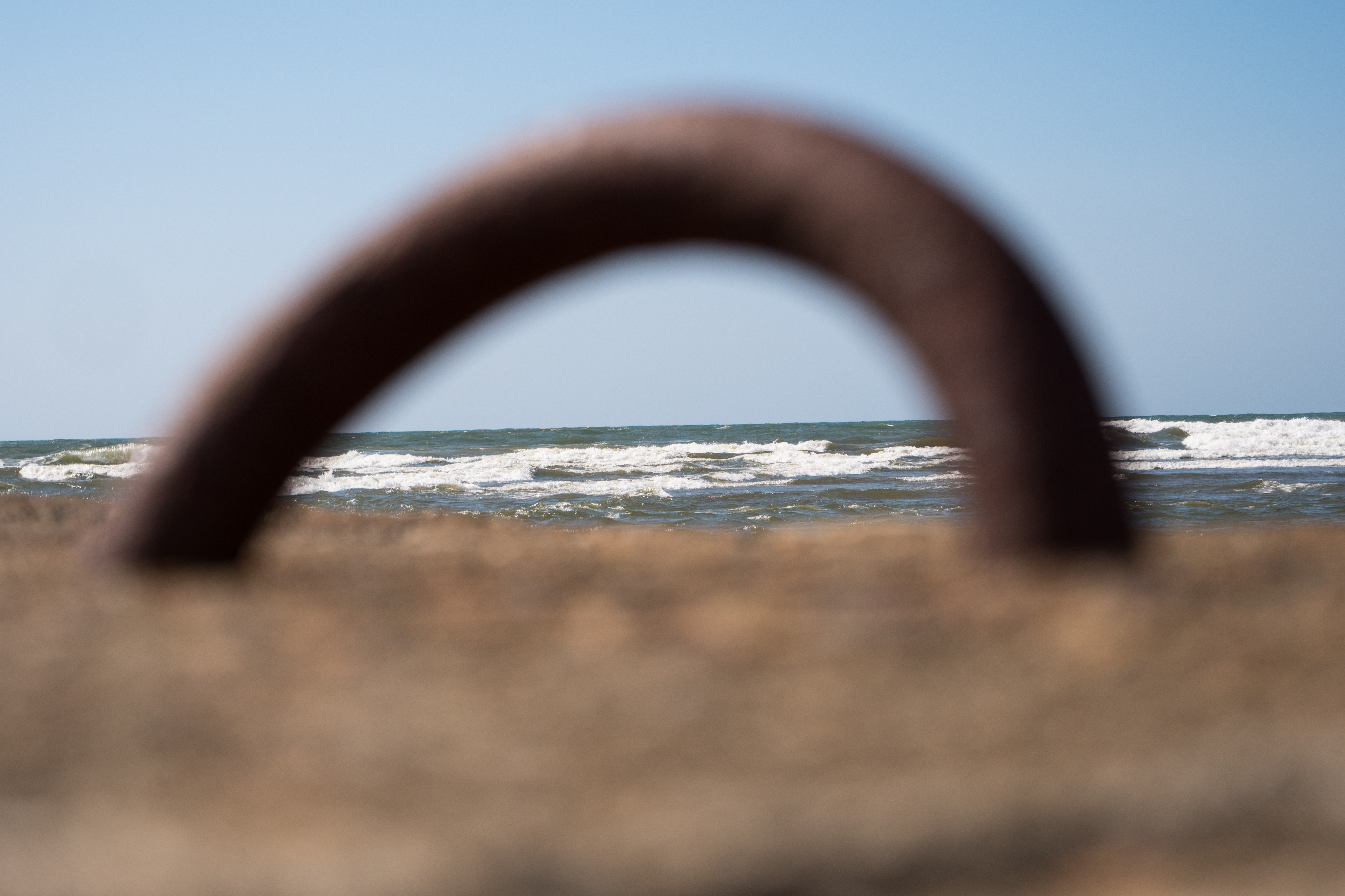 LUMIX GH5 / 1/2,500秒 / F3.9 / +0.7EV / ISO200 / 絞り優先AE / 40mm