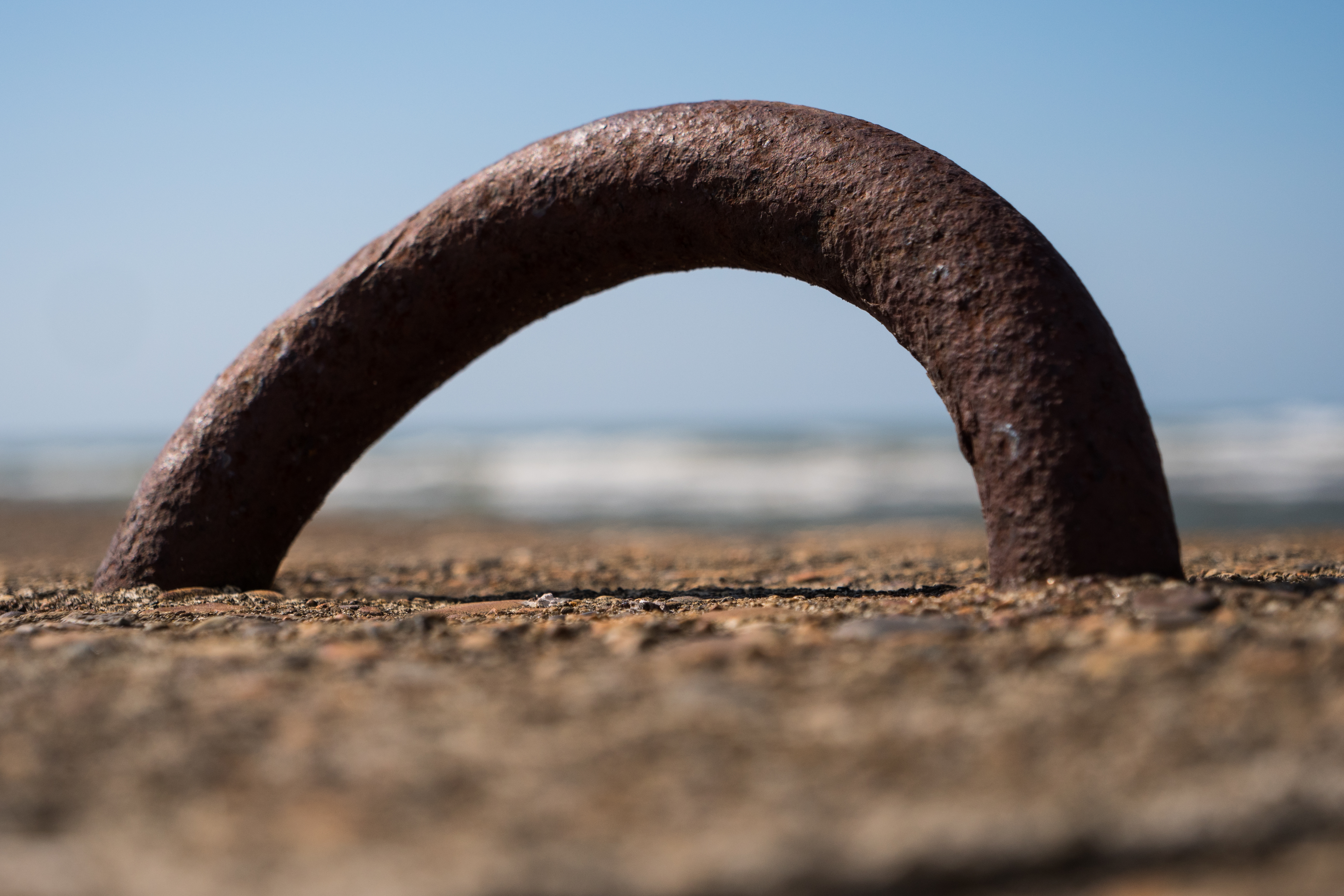 LUMIX GH5 / 1/2,500秒 / F3.9 / +0.7EV / ISO200 / 絞り優先AE / 40mm