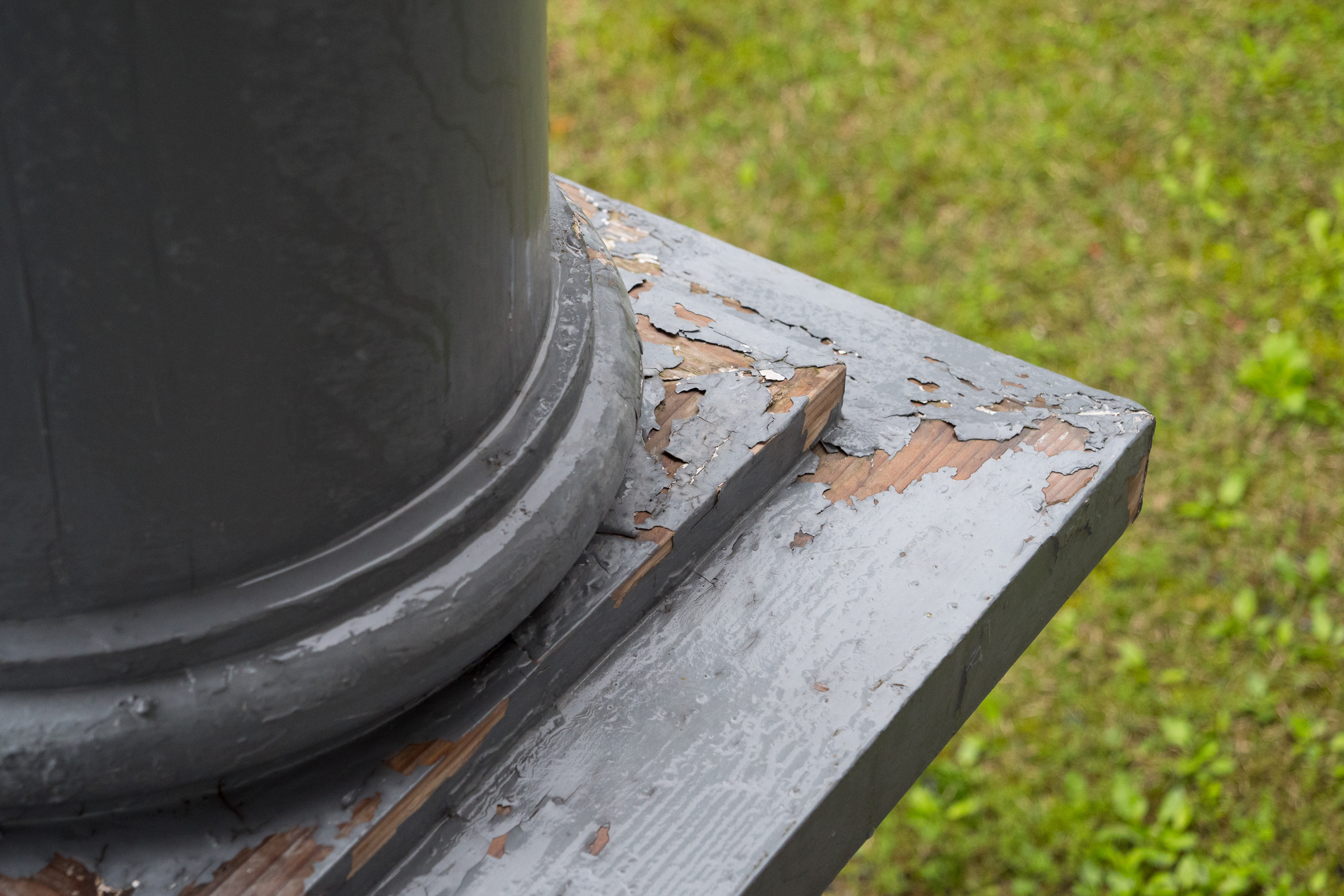 LUMIX GH5 / 1/125秒 / F4 / 0EV / ISO800 / 絞り優先AE / 36mm